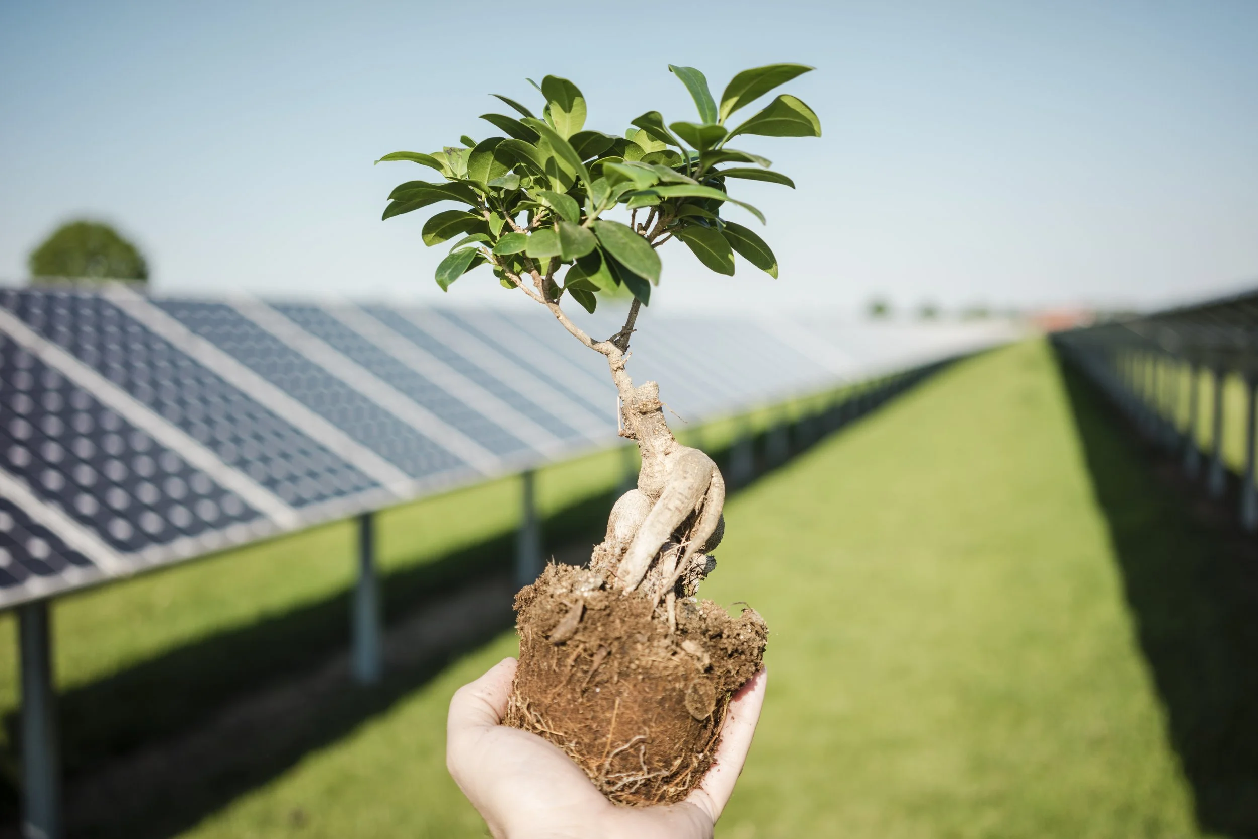 Blog # 7 - leading With Positive Energy
