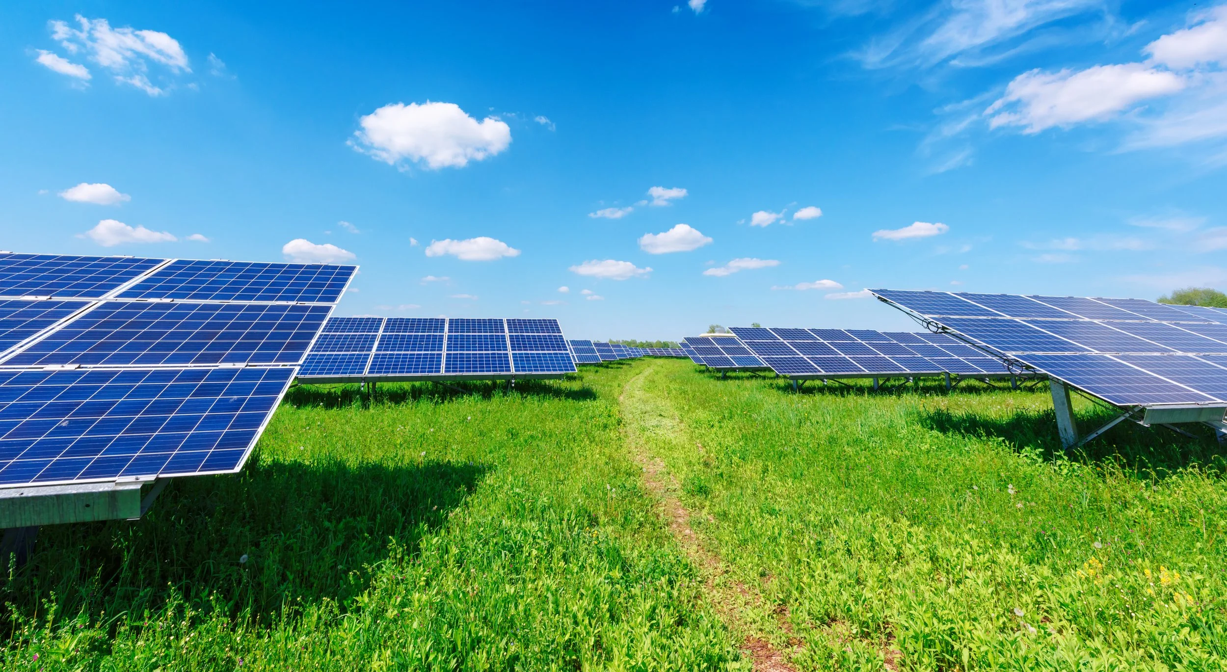 Blog # 8 - Purpose Led Projects Create Better Outcomes
