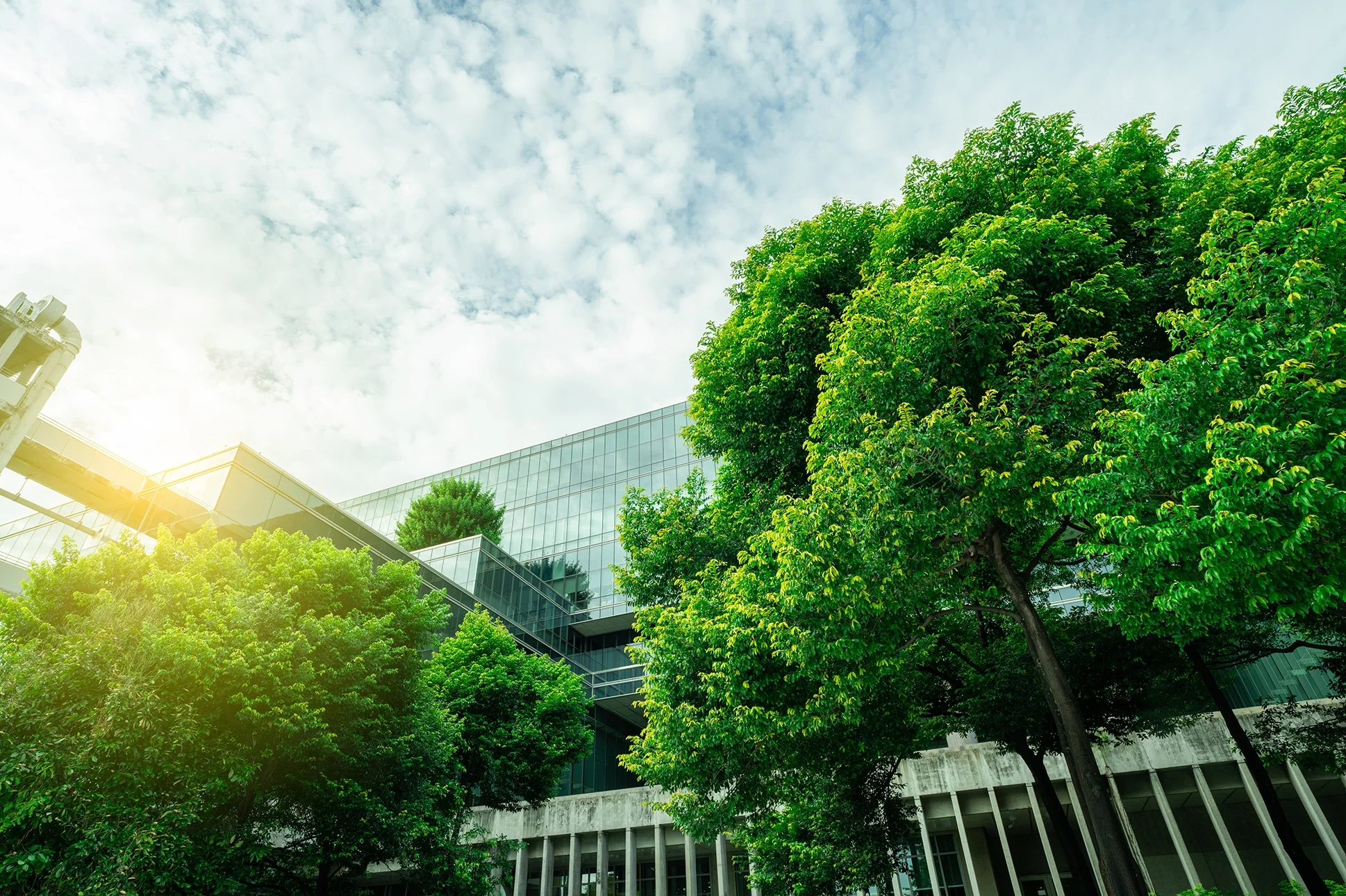 Blog # 9 - The Future of Human Centred Design