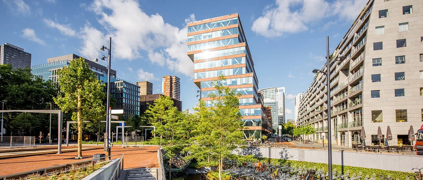 Blog # 17- By the Time You Build, It Is Already Too Late