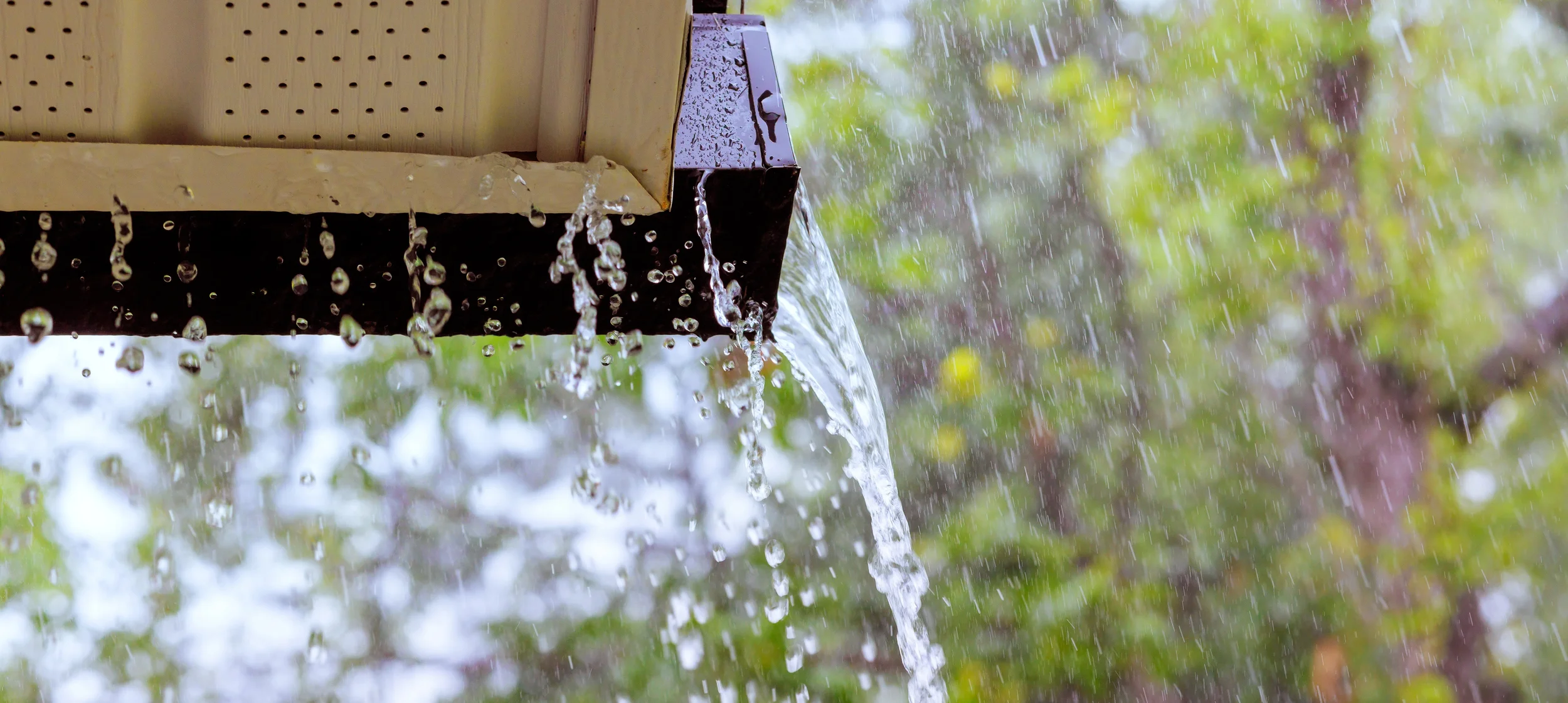 Blog # 19 - Designing Buildings That Use Less Water from Day One