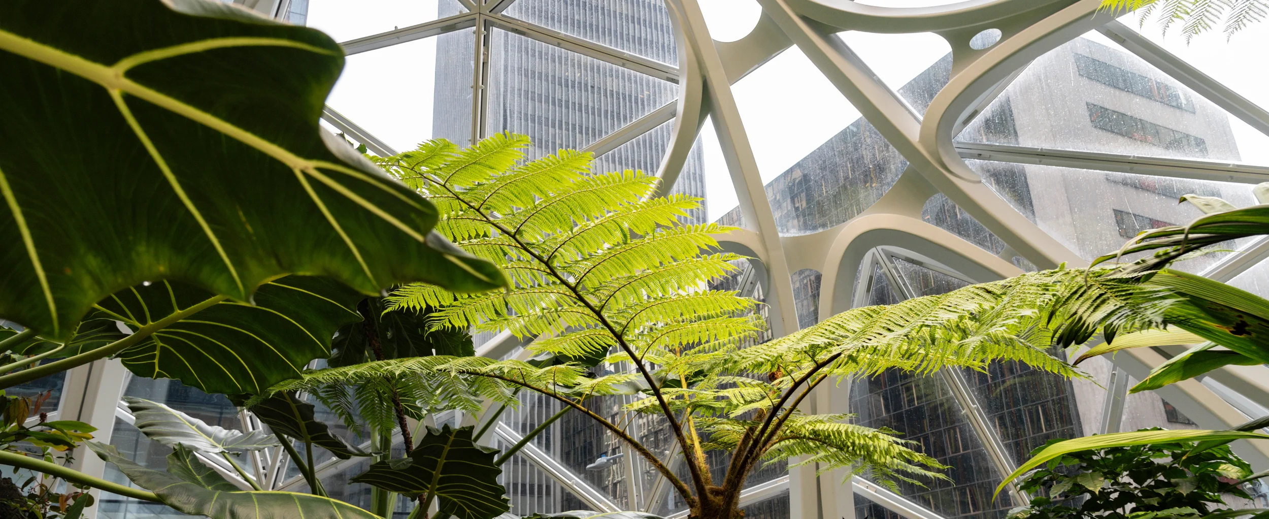 Blog # 22 - Why Low Carbon Buildings Are the Future of Development