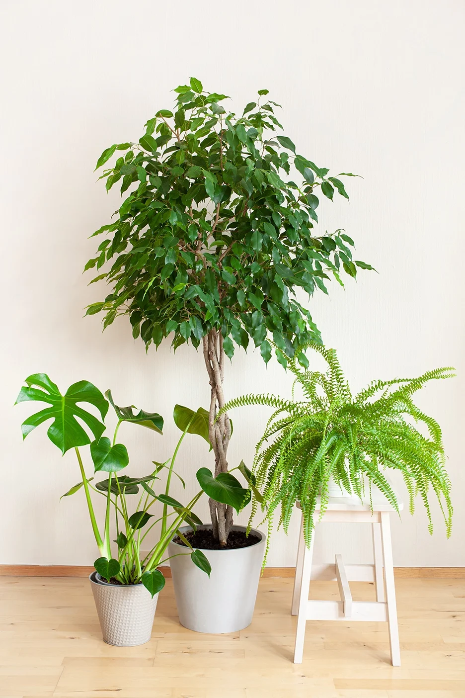 designer eco tiny homes australia