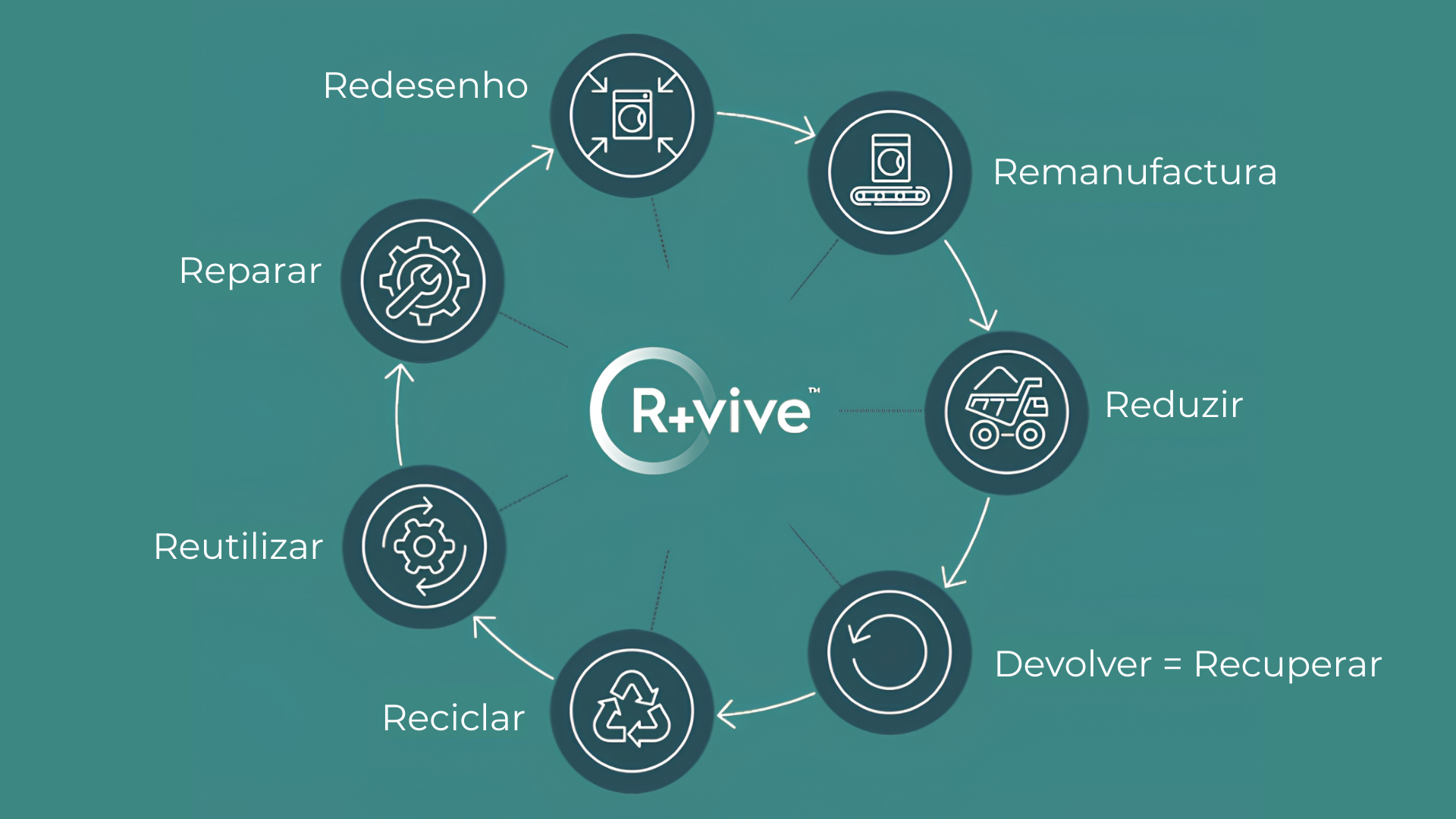 Infografia do conceito R+vive da Electrolux Professional, apresentada num ciclo circular de sustentabilidade com as etapas: redesenho, remanufactura, reduzir, devolver e recuperar, reciclar, reutilizar e reparar.