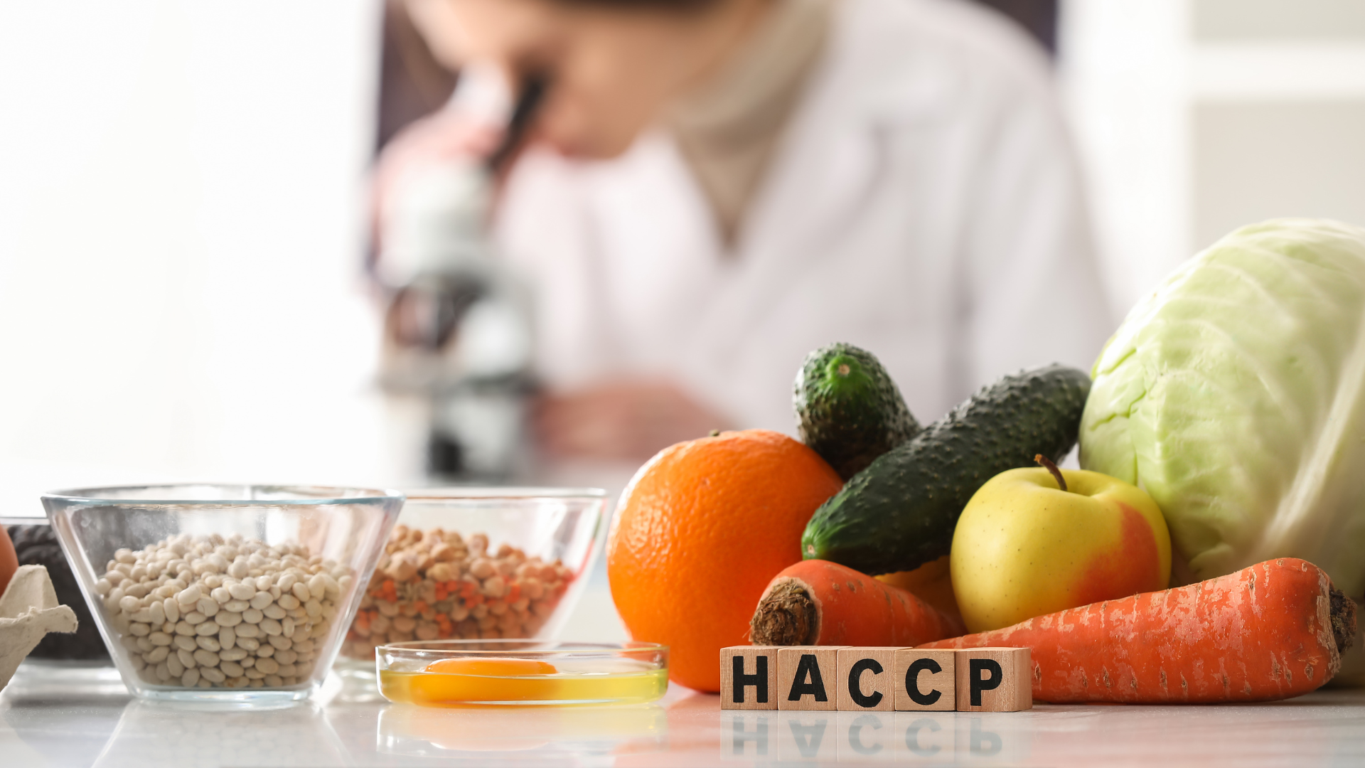 Checklist HACCP — Comeca