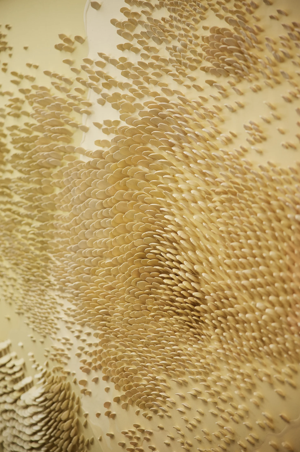 Capture d’écran 2026-03-30 à 2.41.28 PM.png