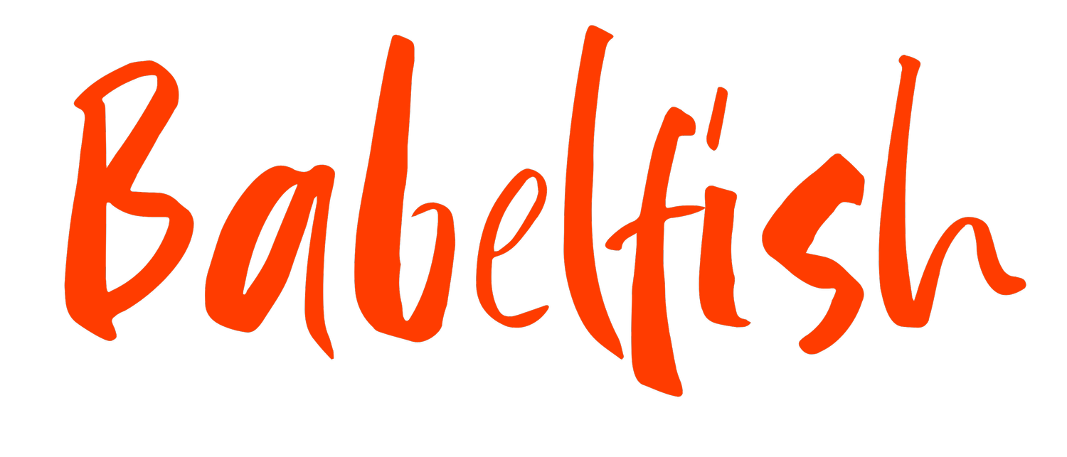 Babelfish Customer Clarity