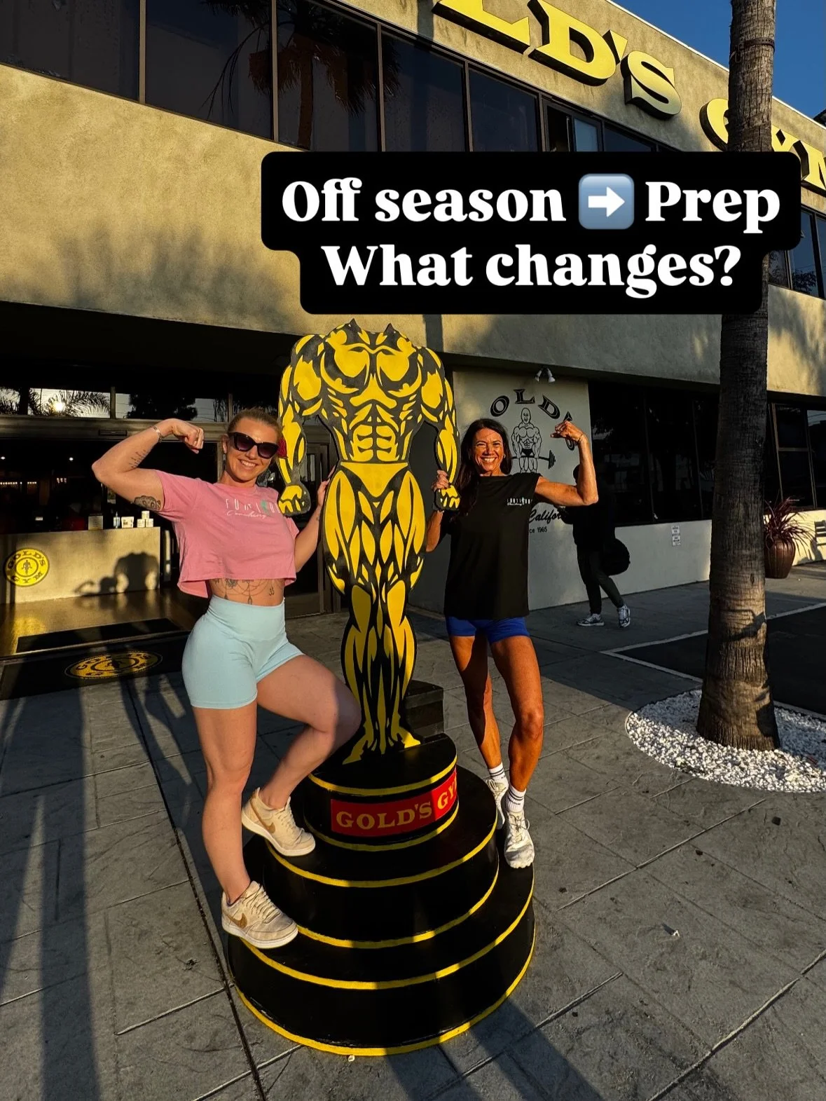 People are often anxious of the changes of starting prep so here&rsquo;s a break down of what happens when your working with me 💚

Nothing crazy or drastic 
No magic foods added or completely new training plan 
Just little changes when needed to kee