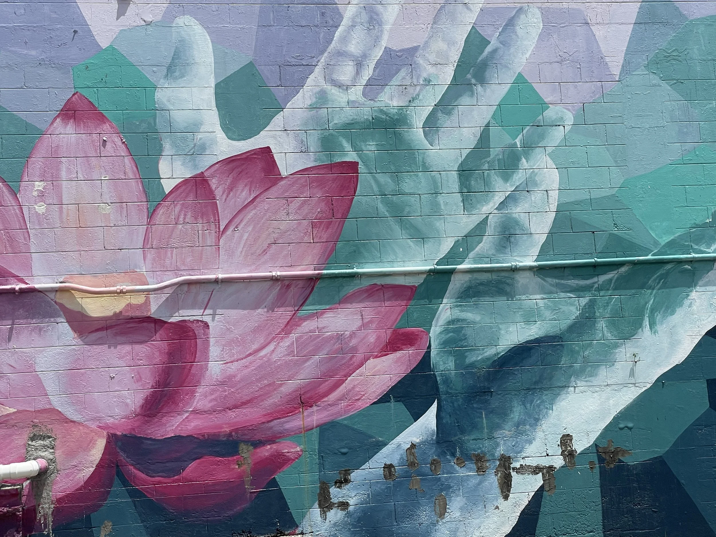 Walk with SMB: The Three Environments We Live In