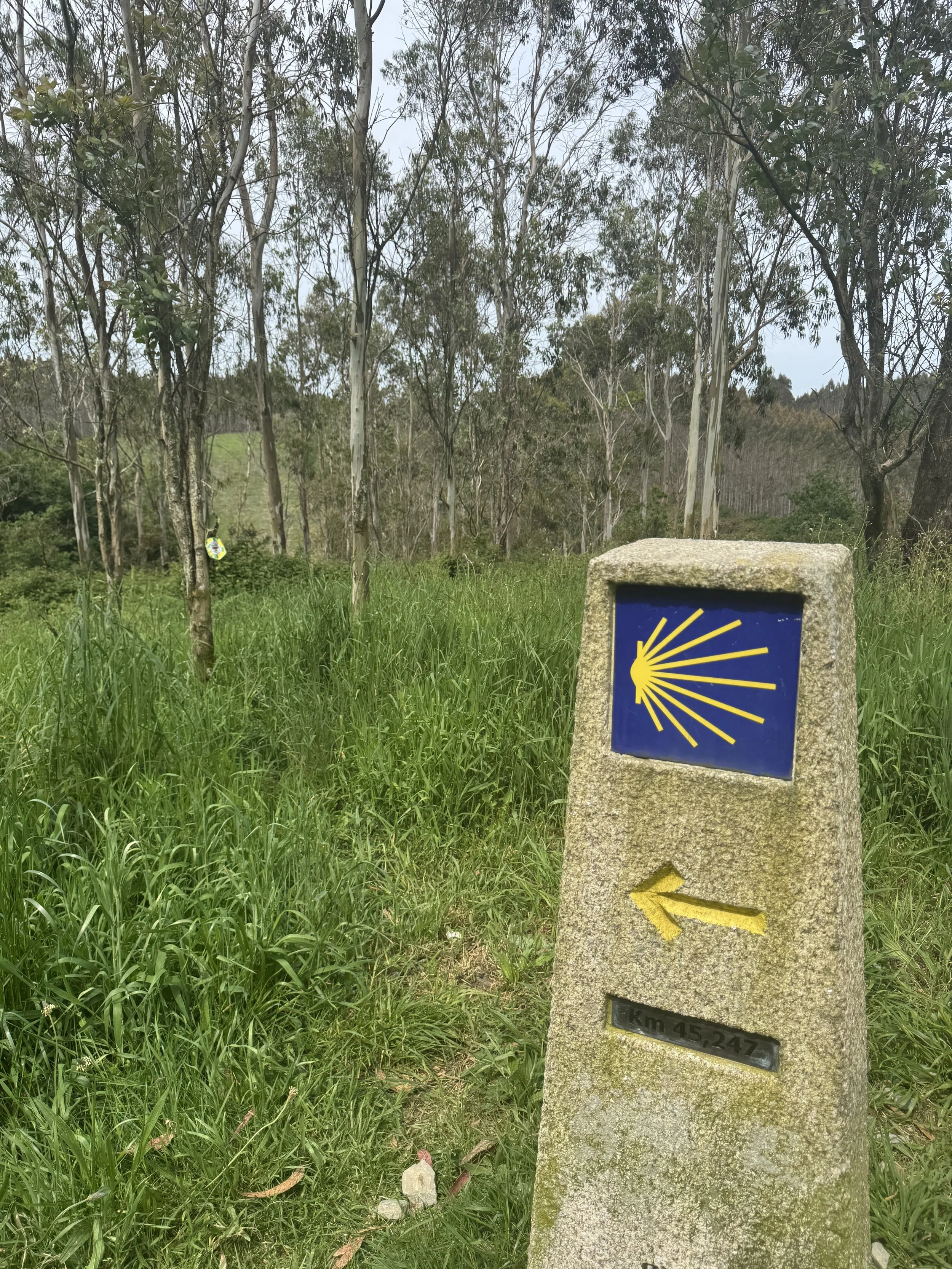 Walk with SMB: When the Walk Is the Point
