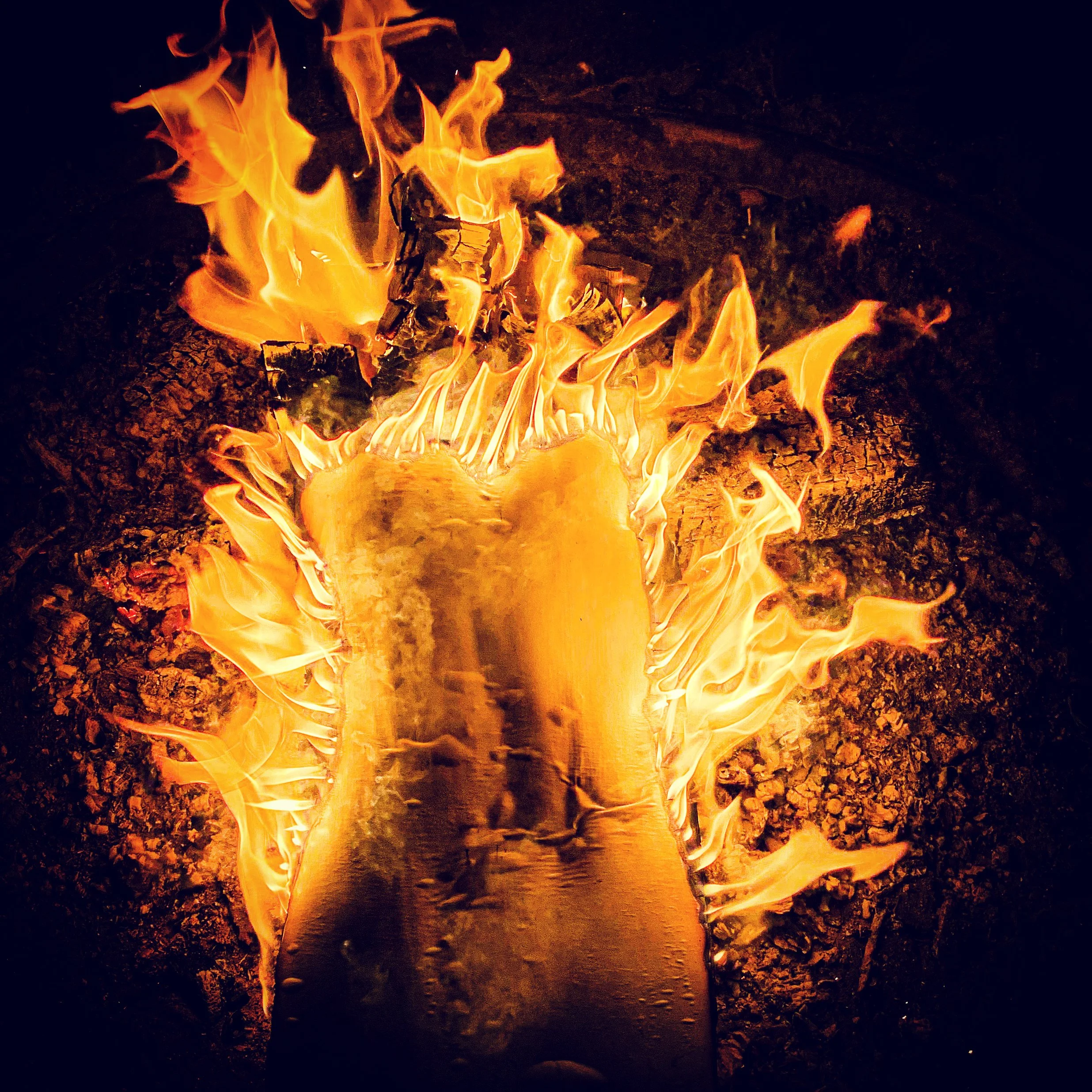 Guided Imagery: Honoring Loss and Carrying the Flame