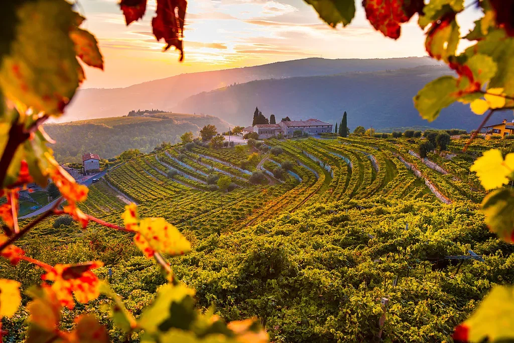 La Valpolicella 