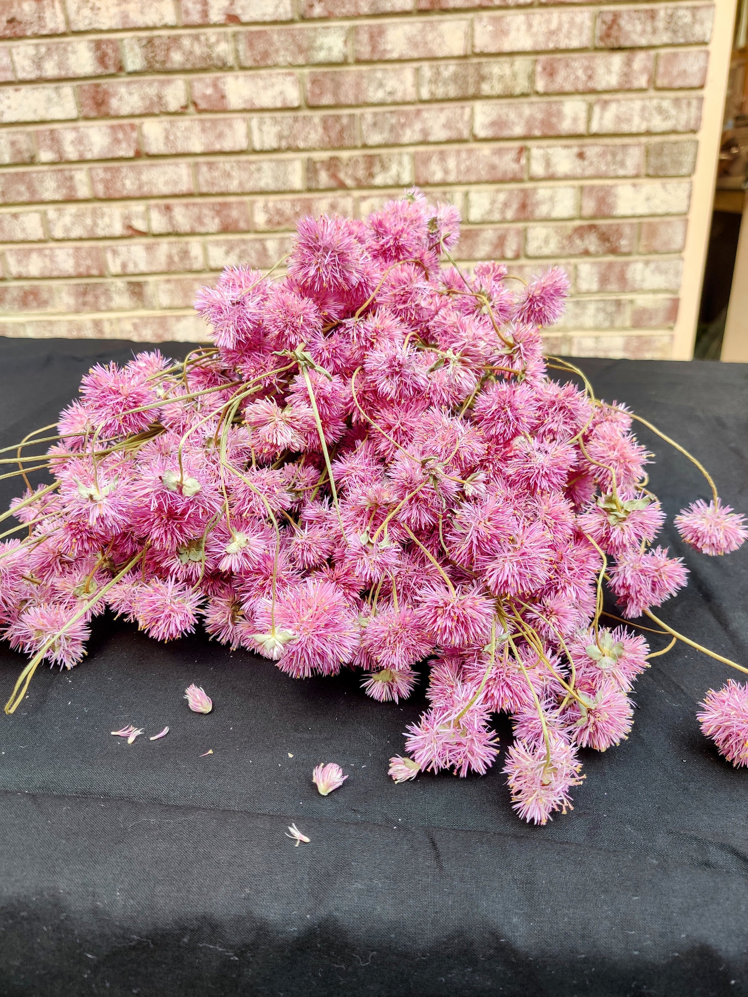 Dried Fireworks.jpg