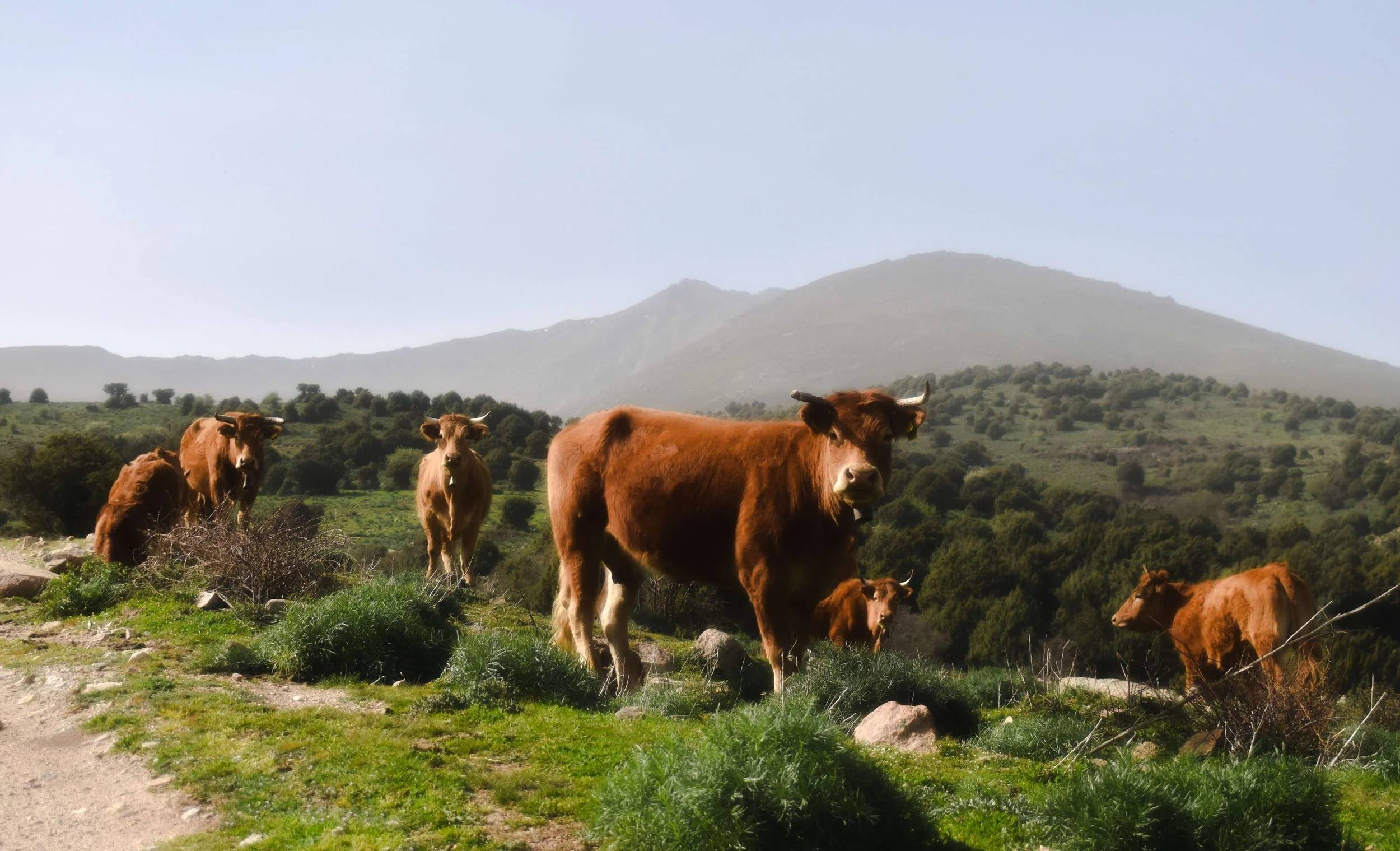 Travel Photography-Sardinia, Italy