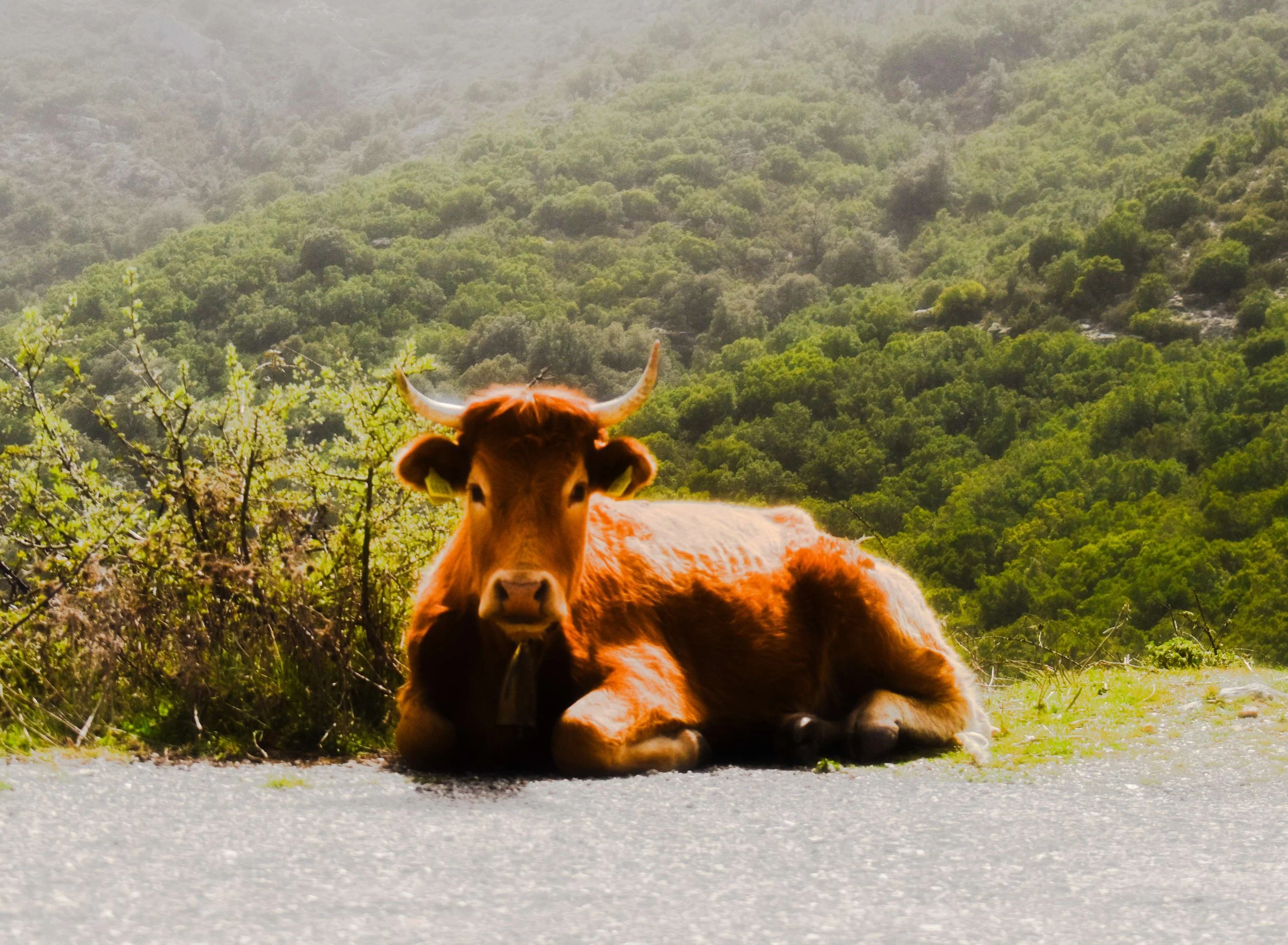 Travel Photography-Sardinia, Italy