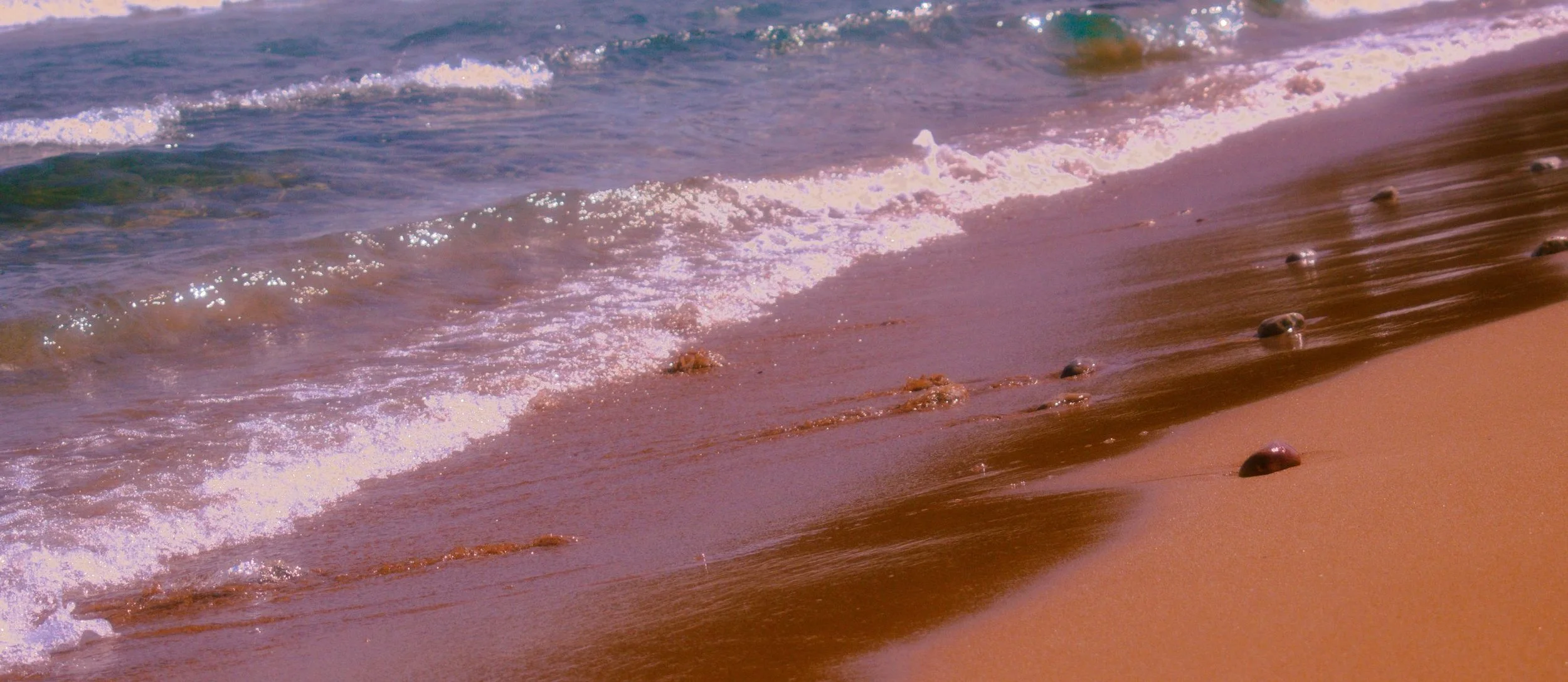 File Visit Malta in Spring3.jpg