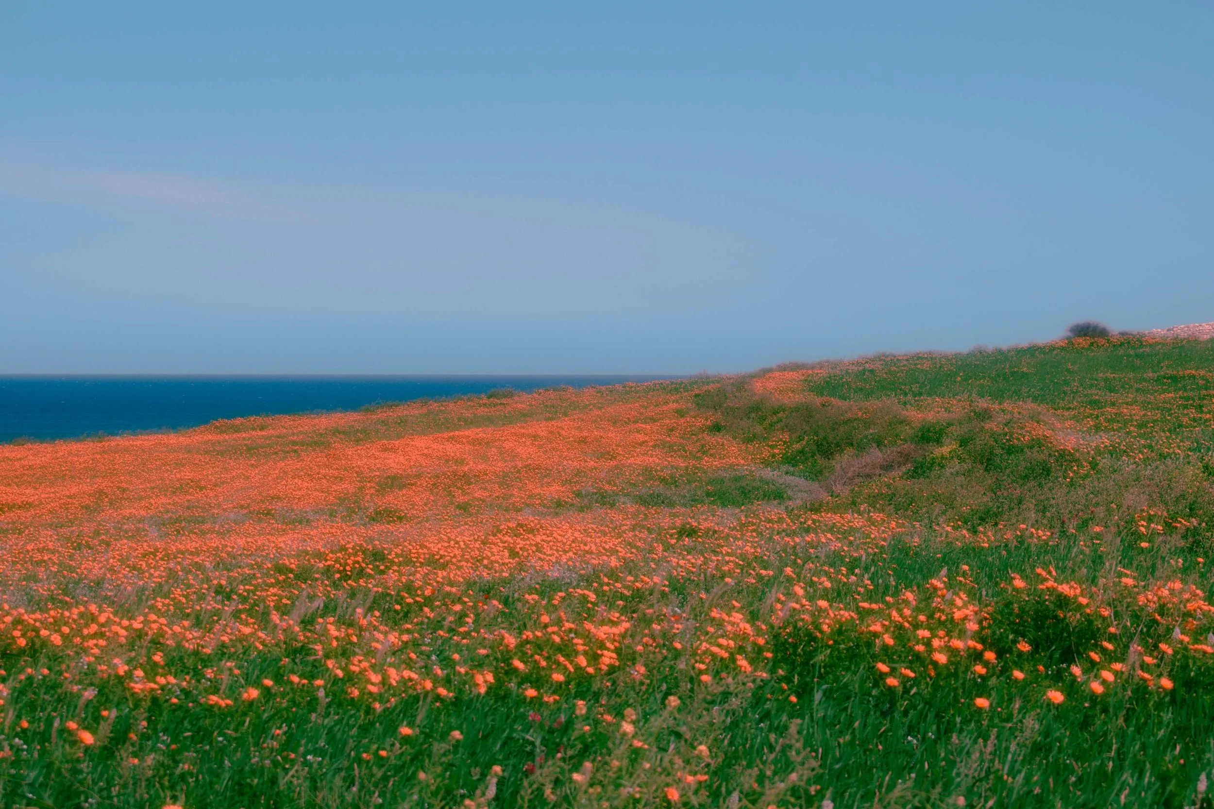 Spring in Malta: The Ultimate Guide for Couples &amp; Girls Trips