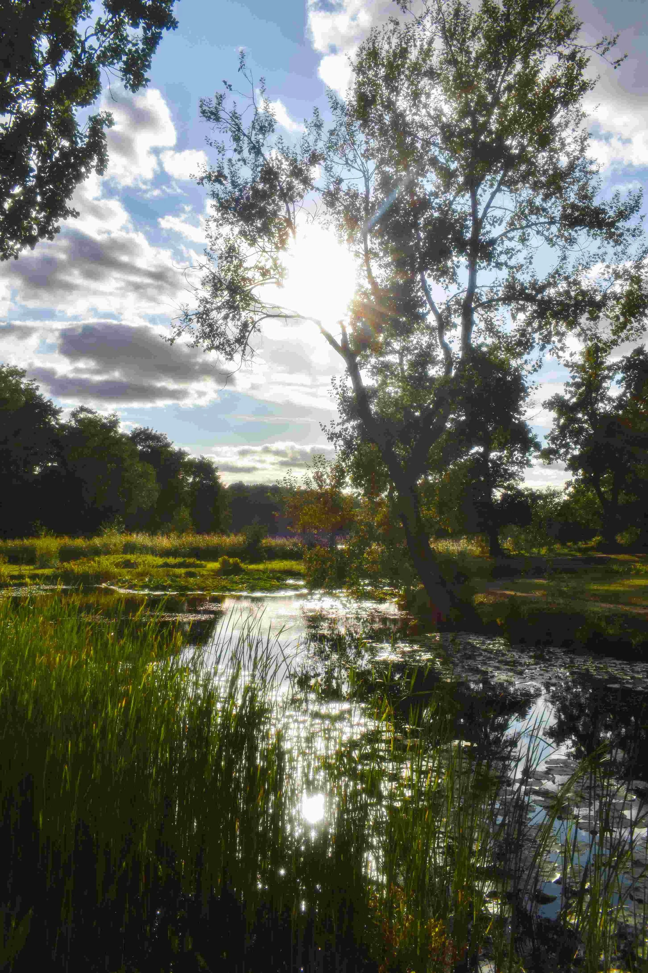 stockholm, sweden, nature photographer7.jpg