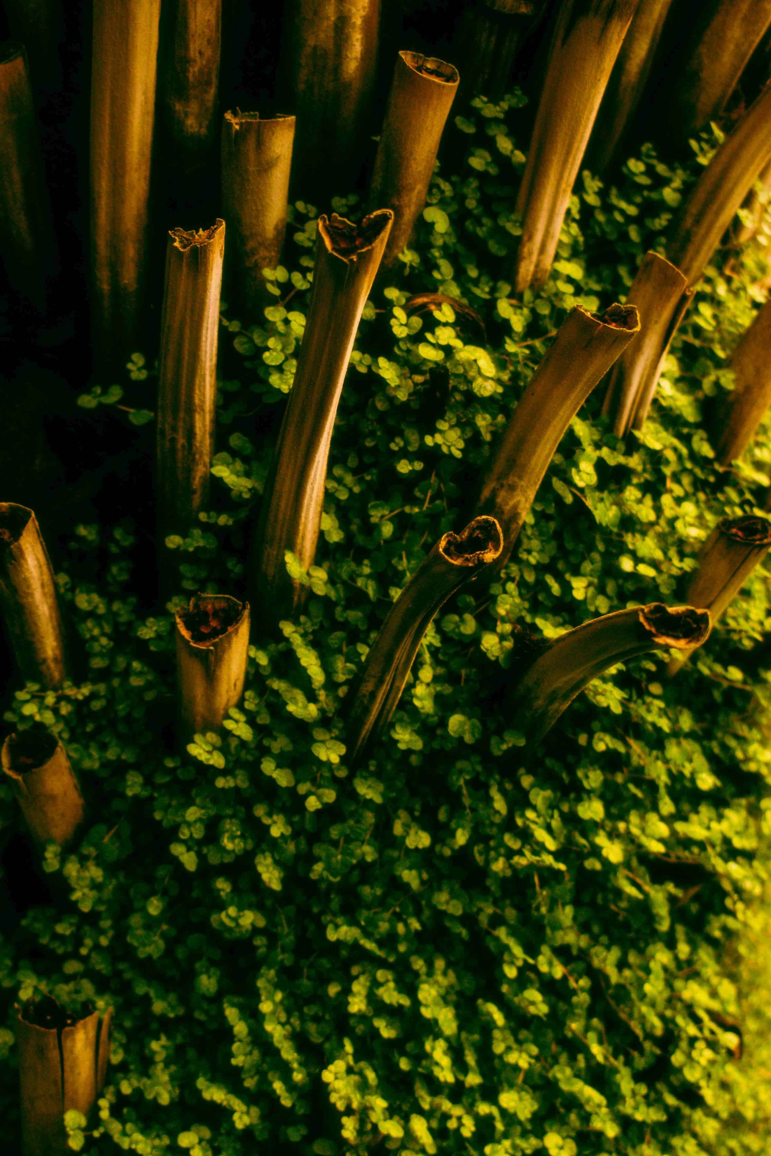 Sweden destination photographer17.jpg