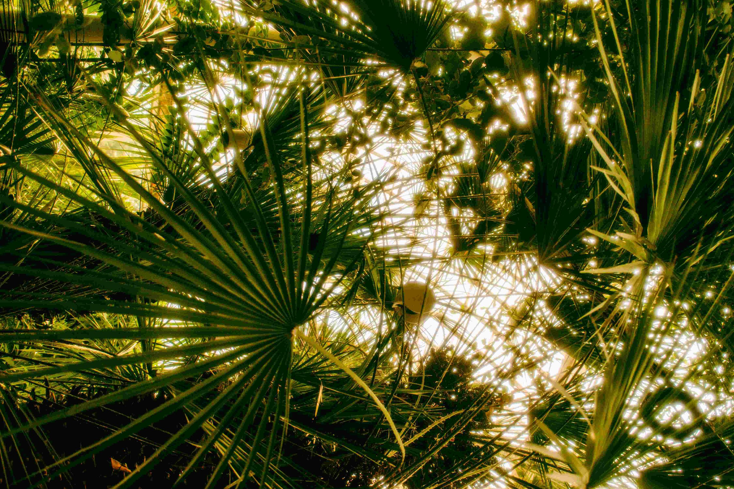 Sweden destination photographer19.jpg