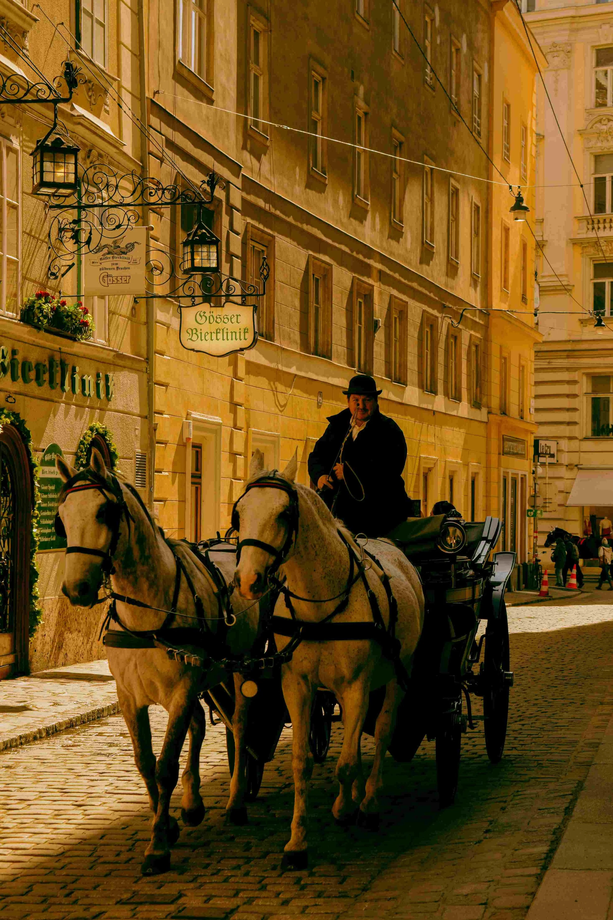 vienna photography- destination photography1.jpg