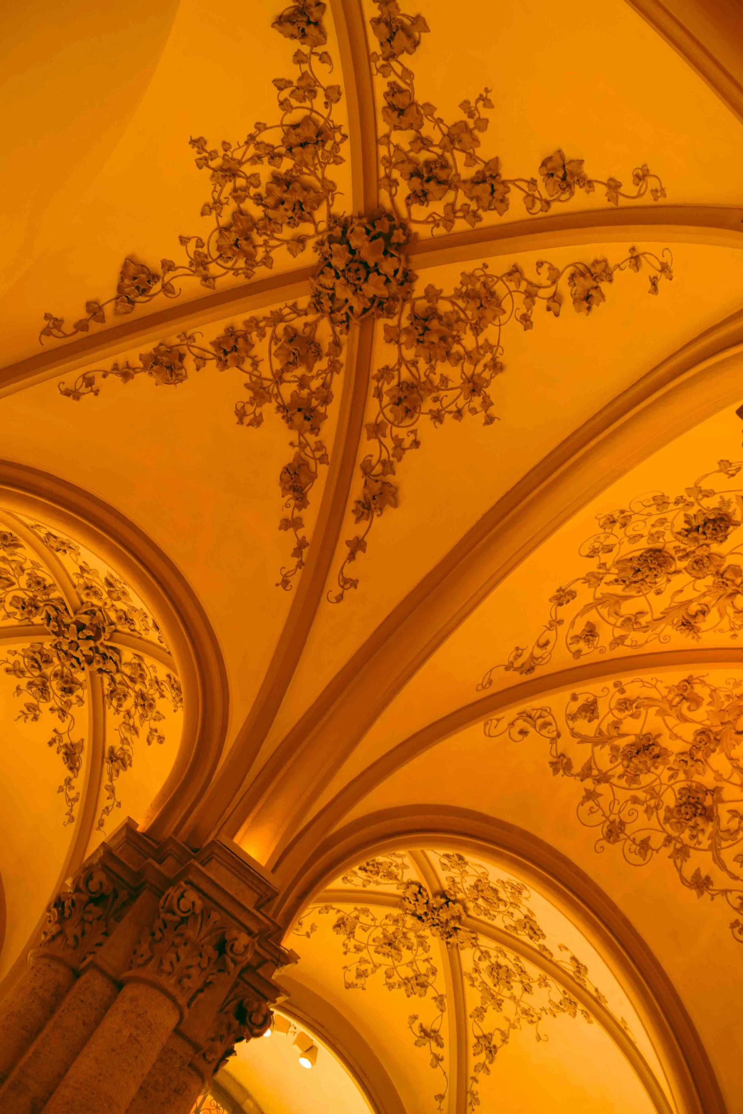 vienna photography- destination photography5.jpg
