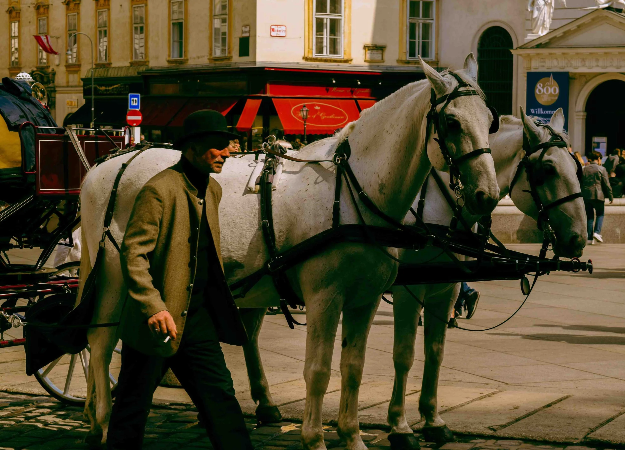 vienna photography- destination photography7.jpg