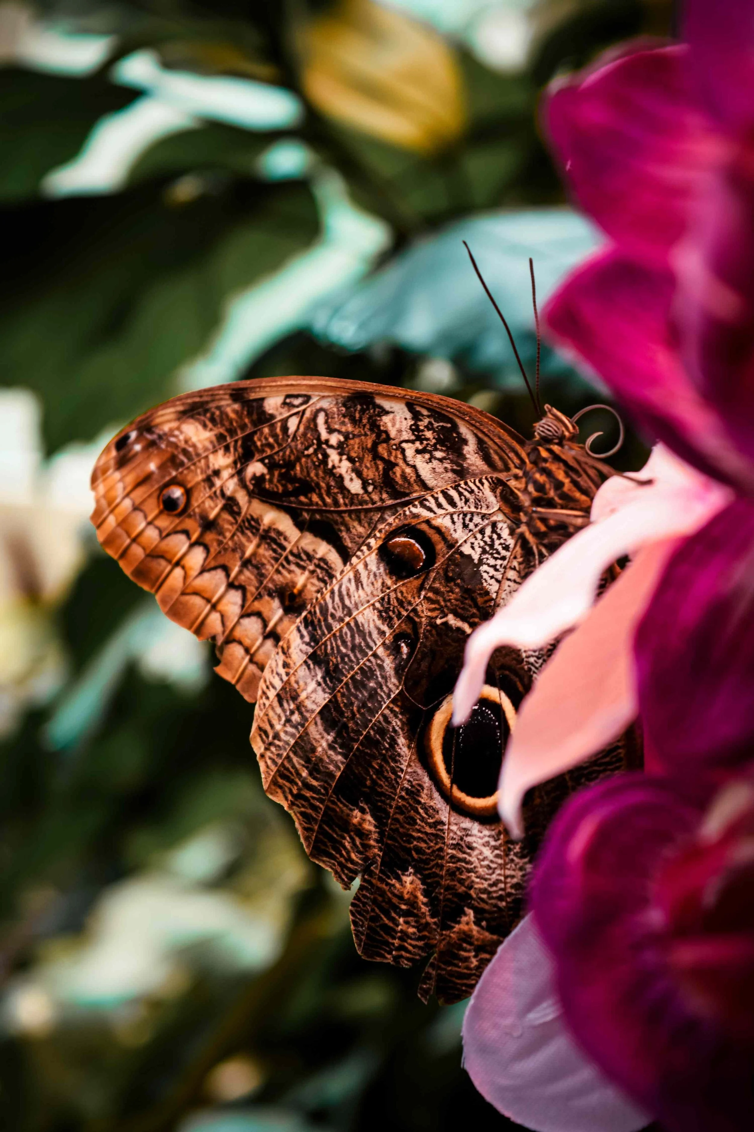 vienna photography- destination photography13.jpg