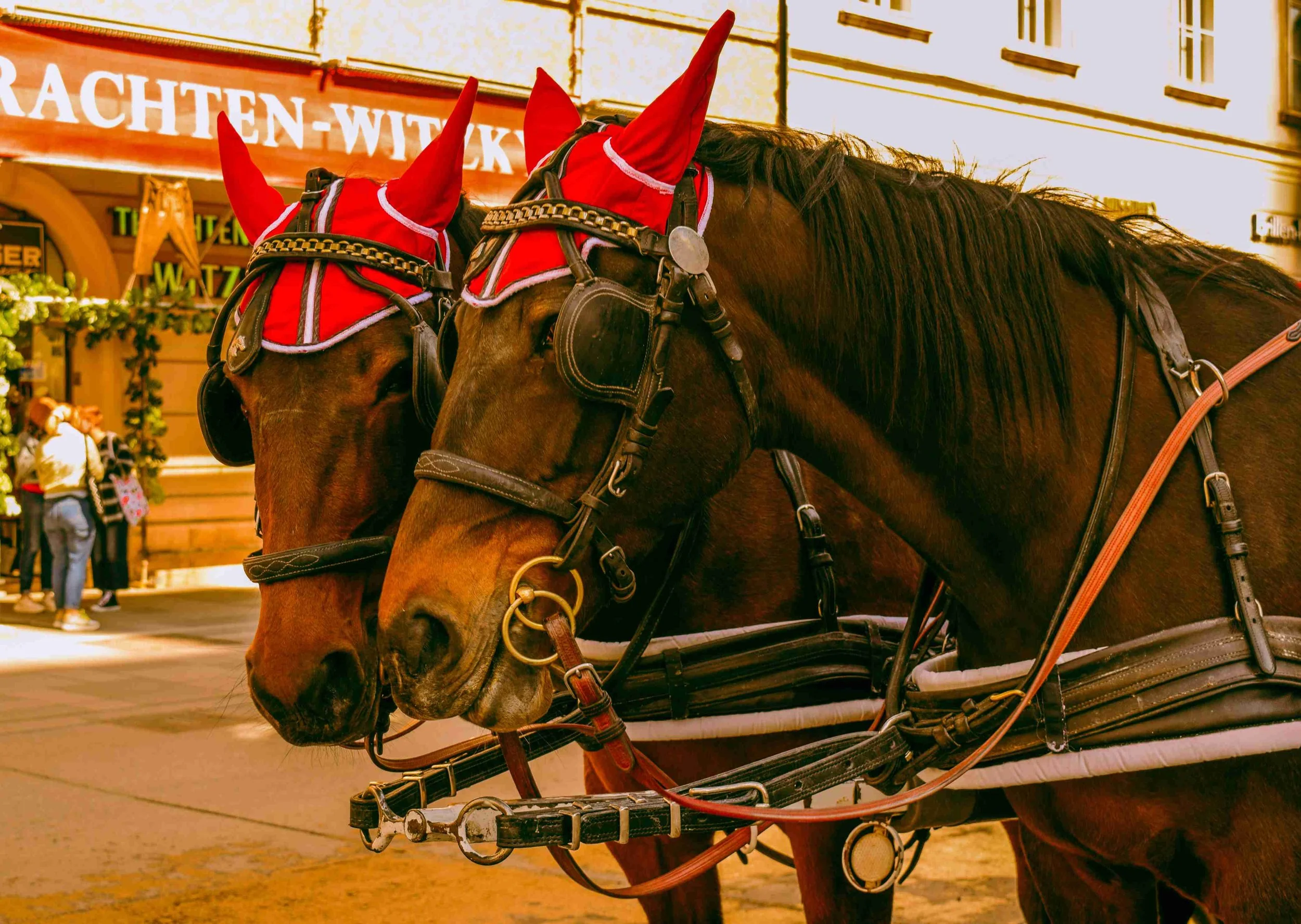 vienna photography- destination photography2.jpg