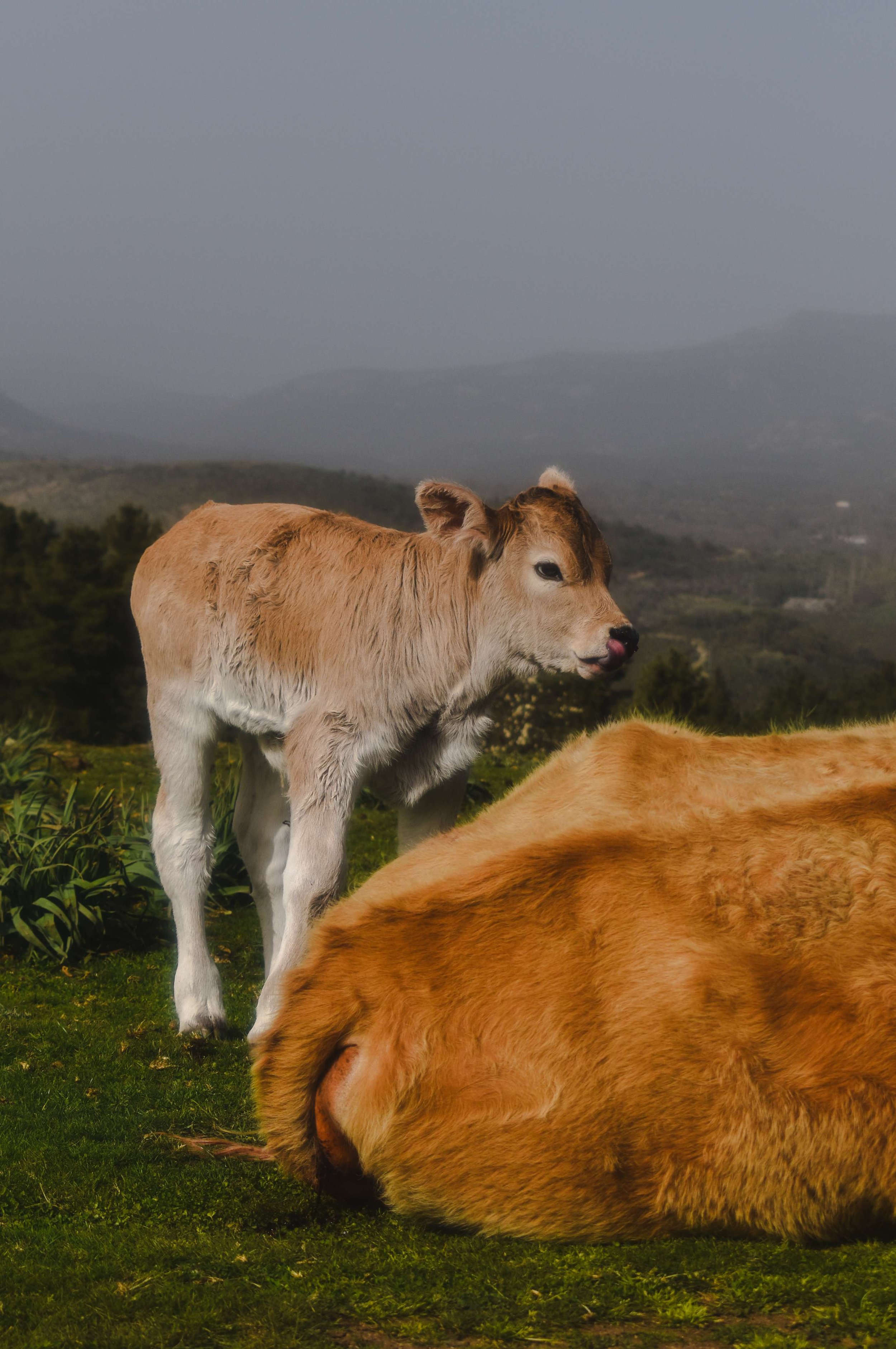 Travel Photography-Sardinia, Italy