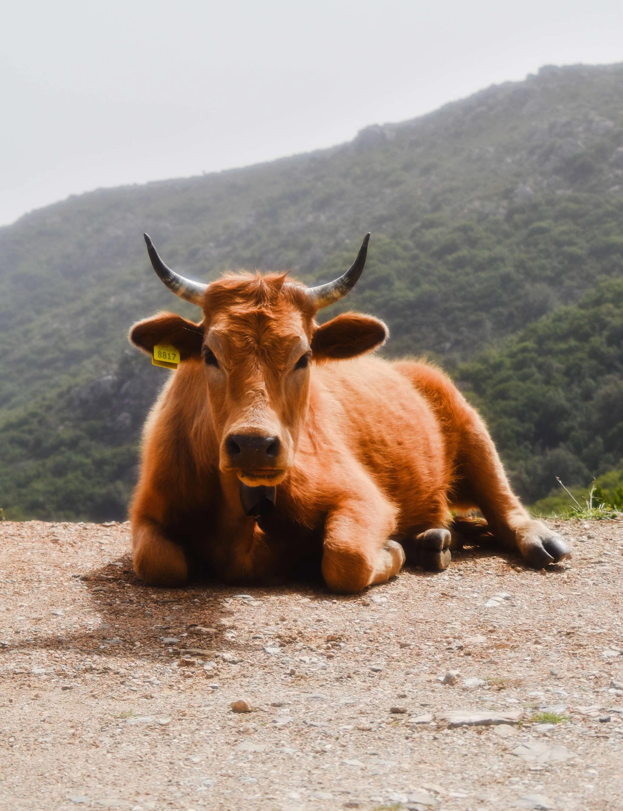 Travel Photography-Sardinia, Italy