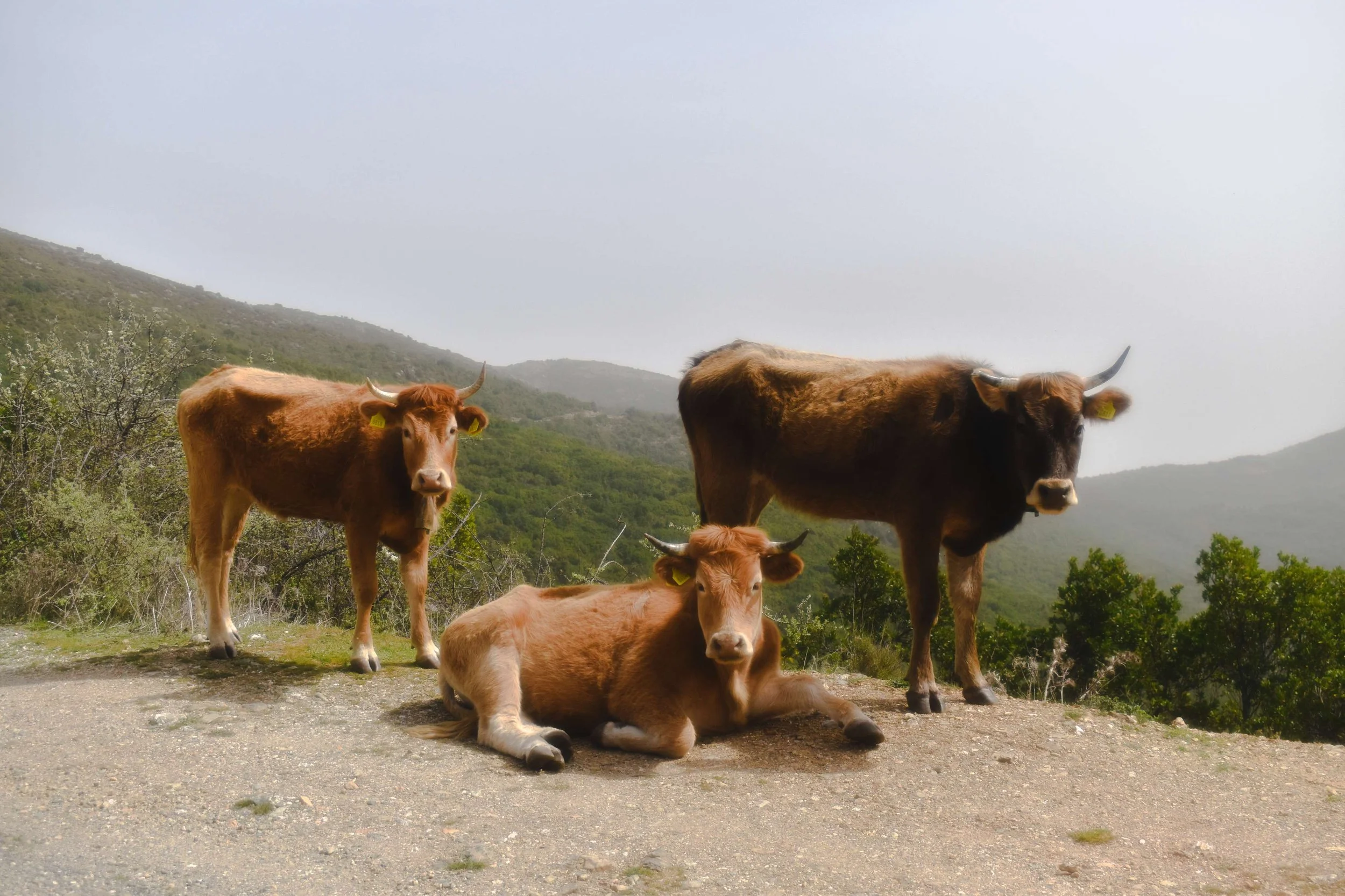 Travel Photography-Sardinia, Italy