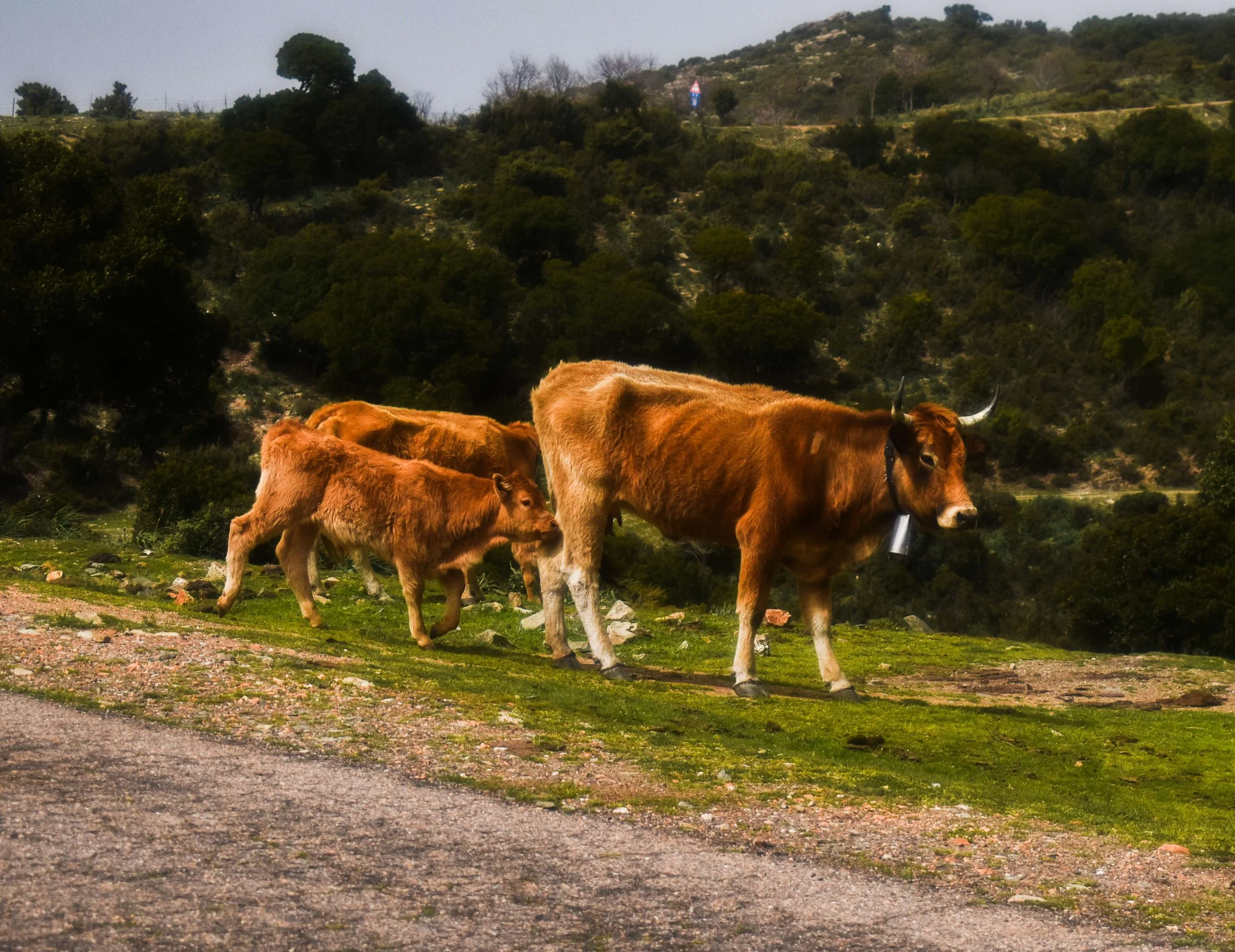 Travel Photography-Sardinia, Italy