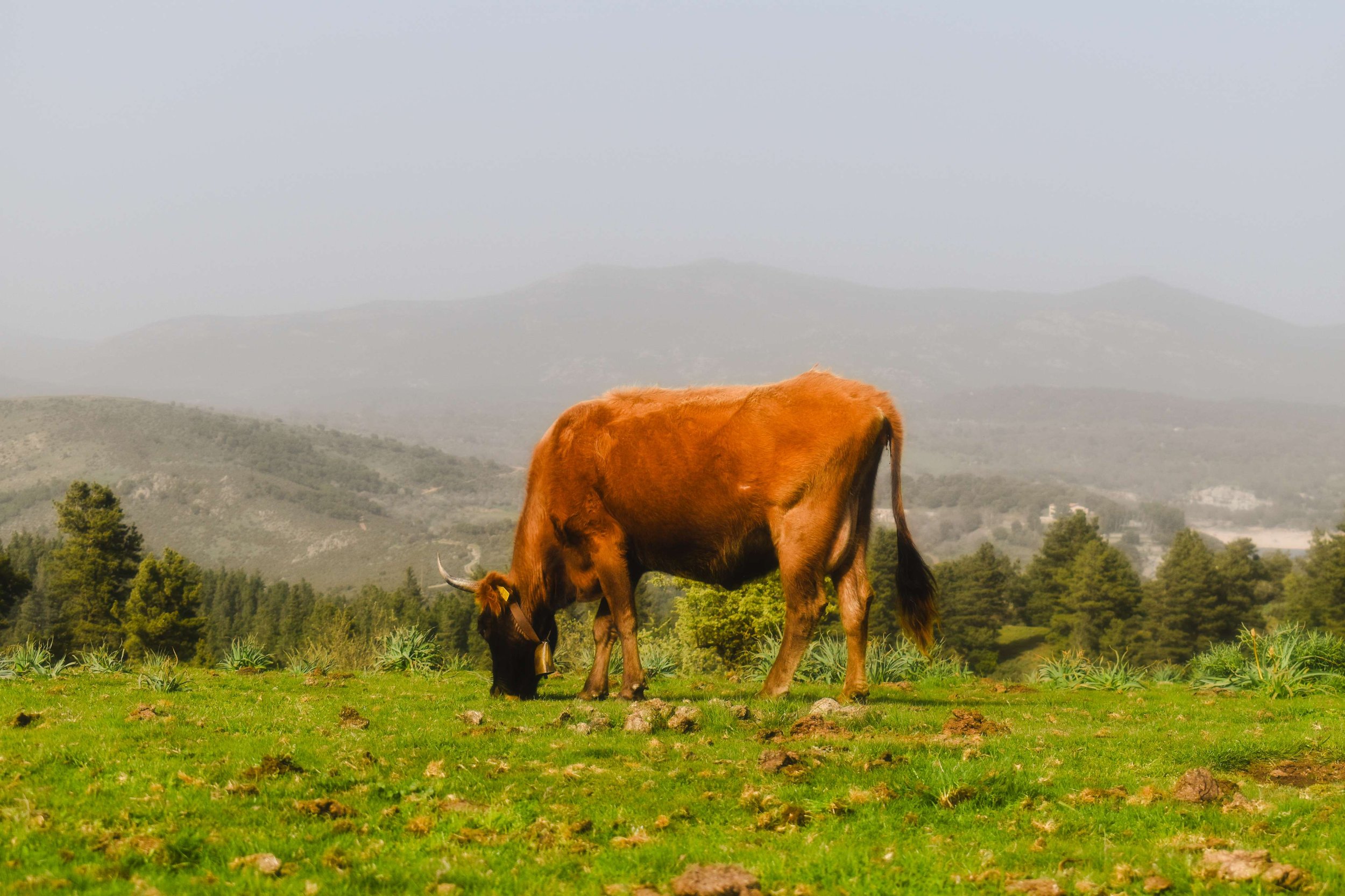 Travel Photography-Sardinia, Italy