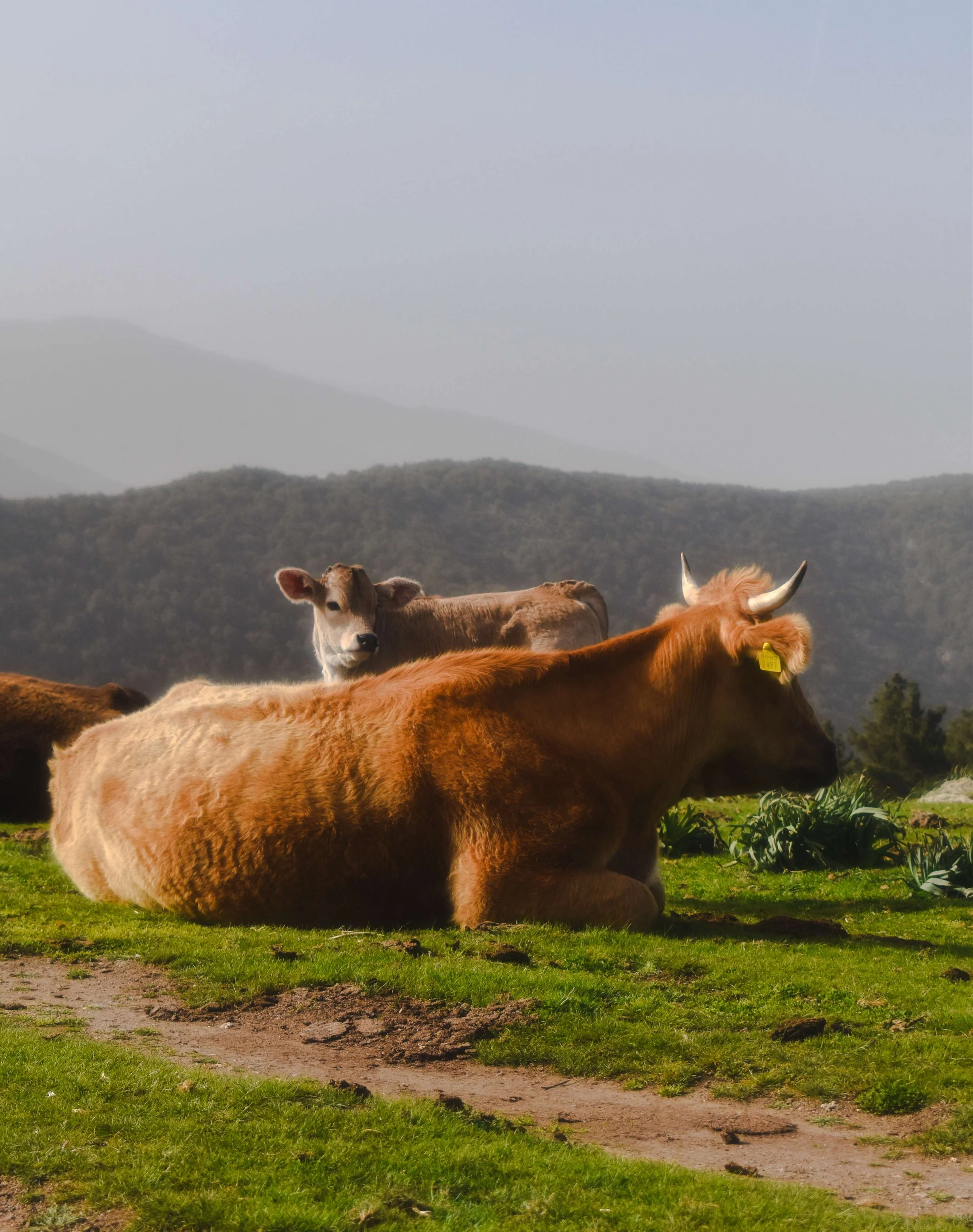Travel Photography-Sardinia, Italy