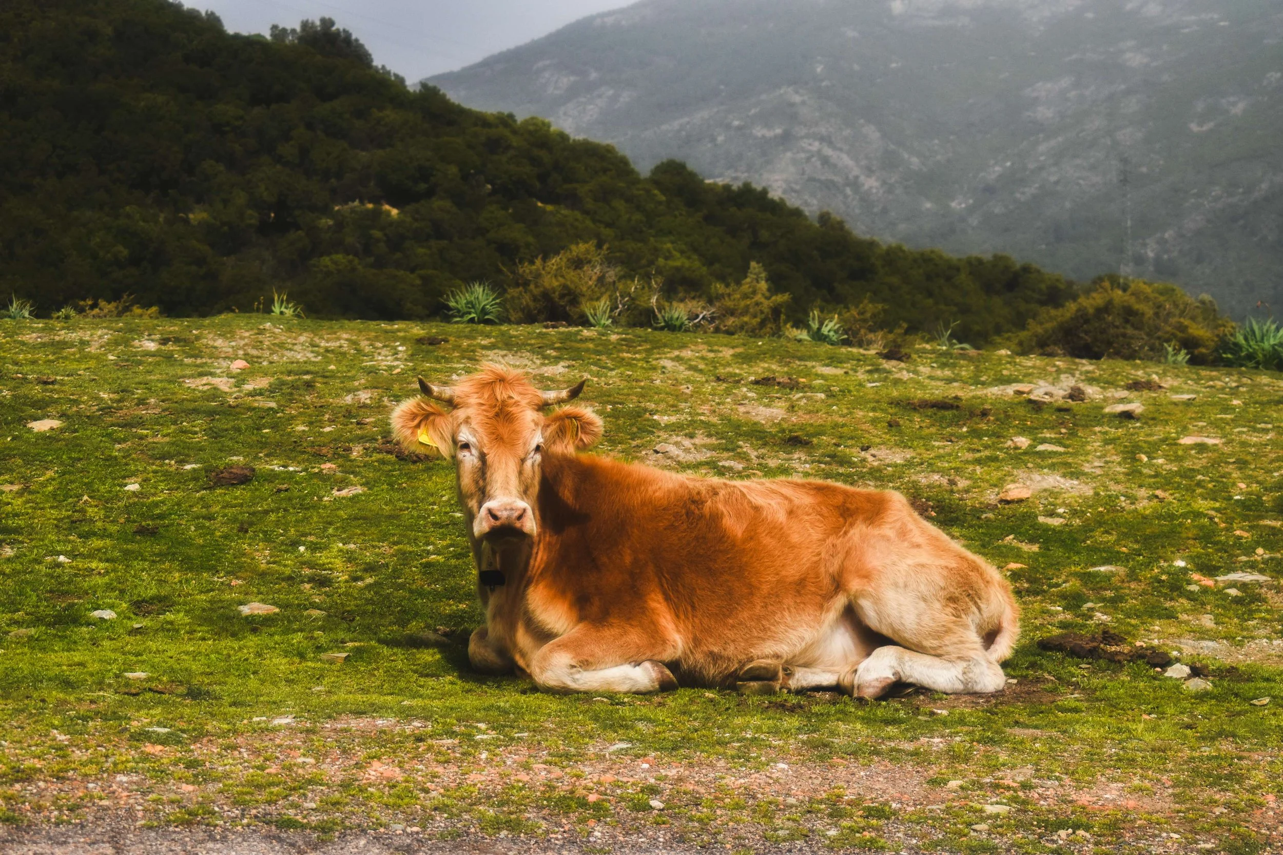 Travel Photography-Sardinia, Italy