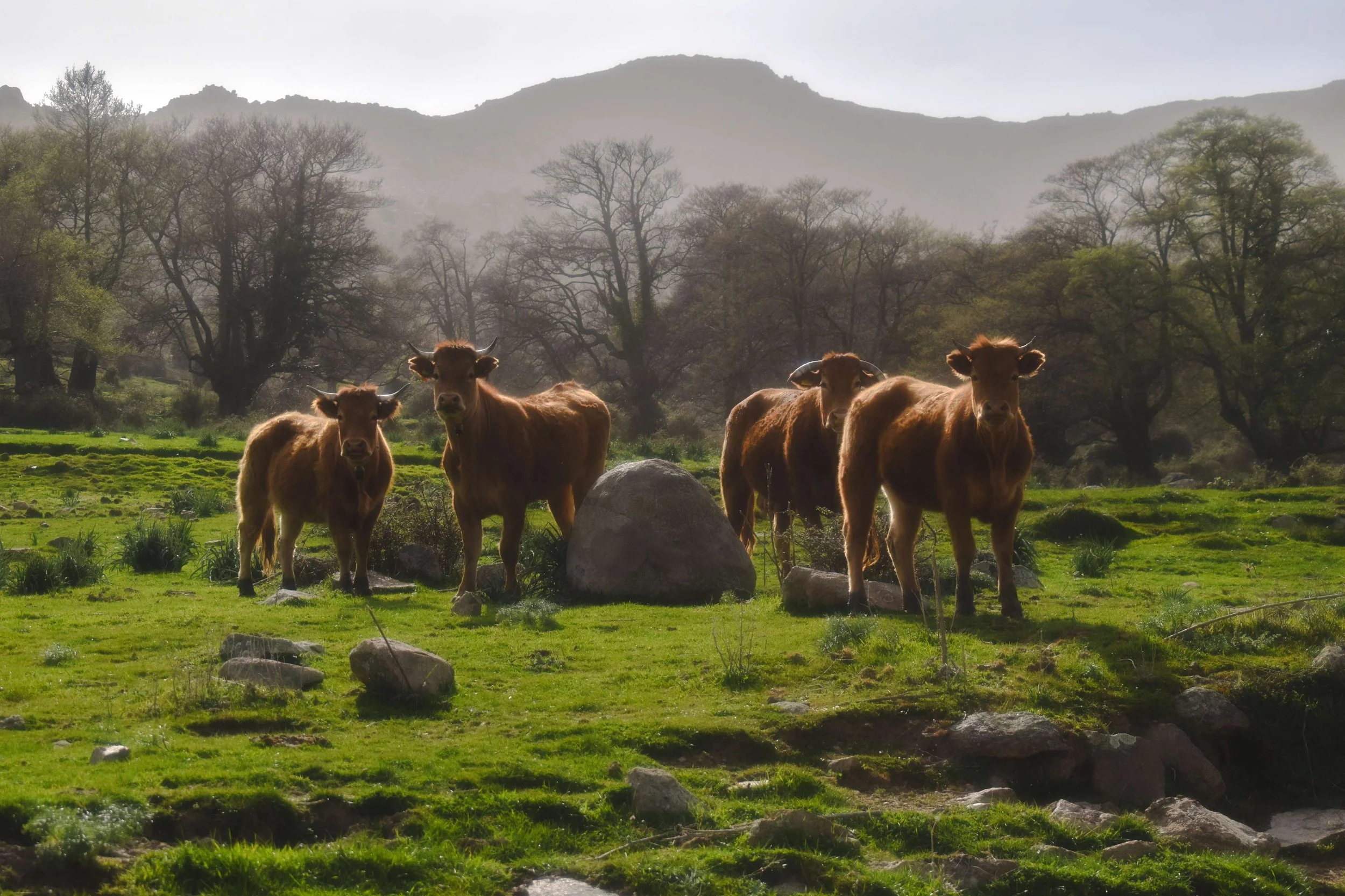 Travel Photography-Sardinia, Italy