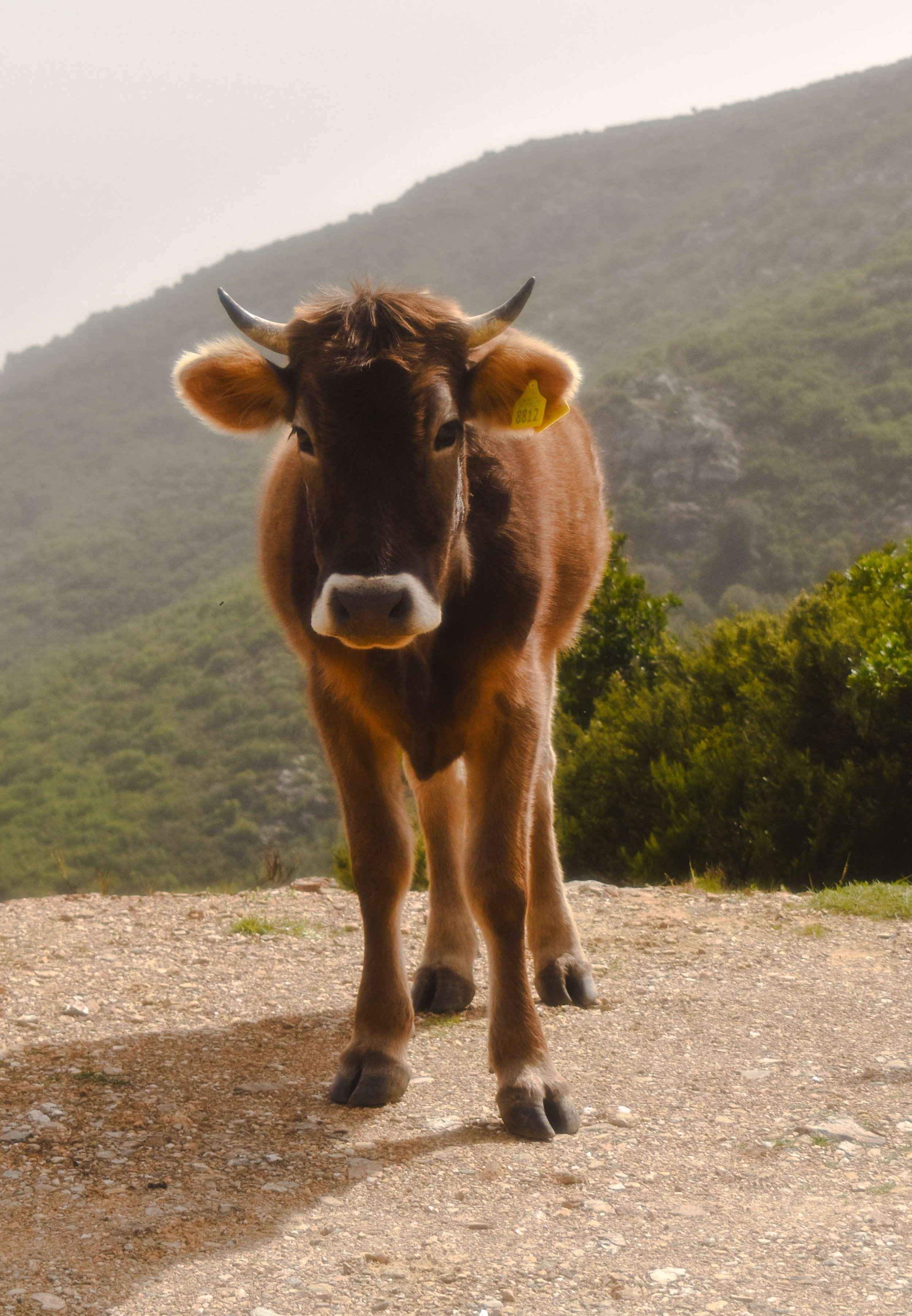 Travel Photography-Sardinia, Italy
