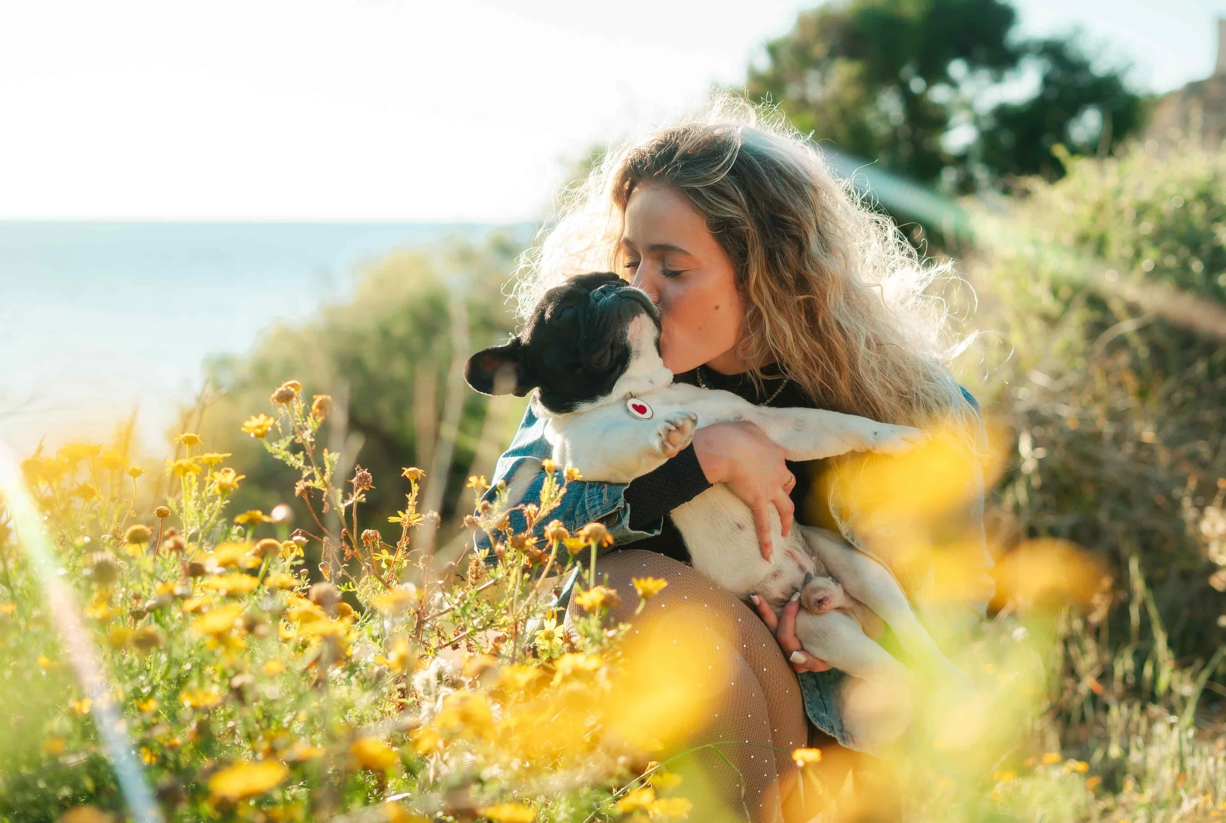 lifestyle dog photoshoot9.jpg