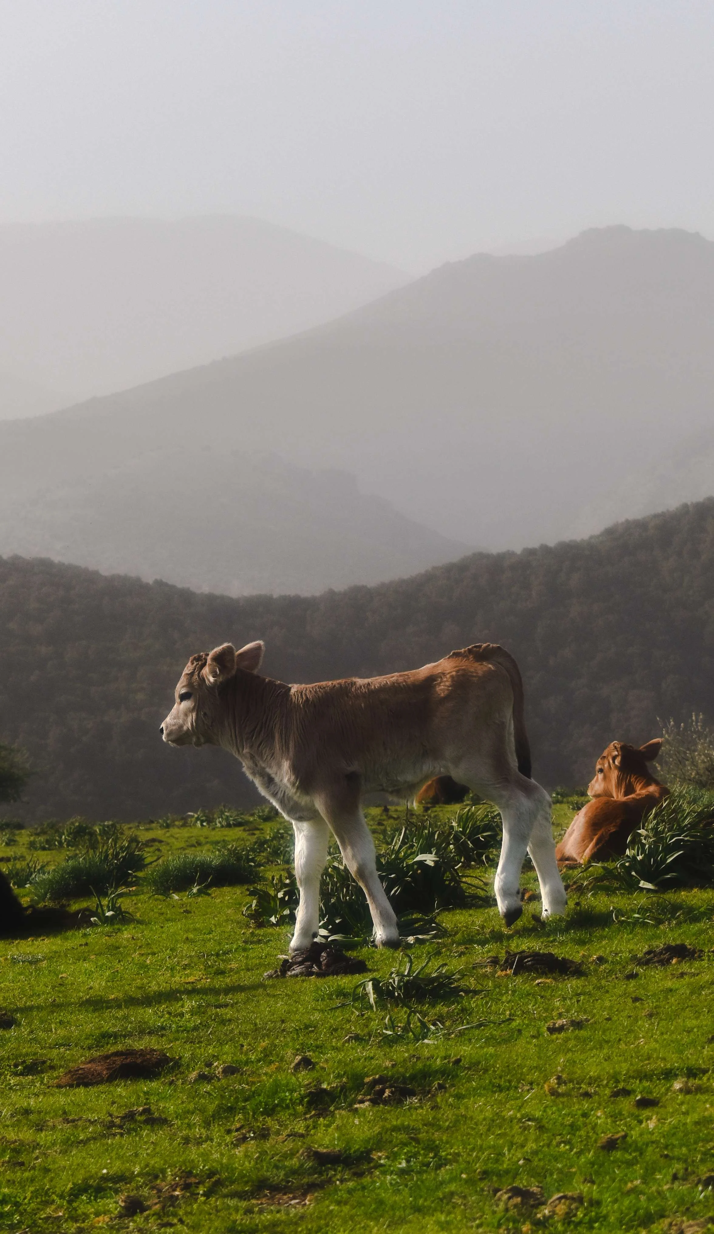 Travel Photography-Sardinia, Italy