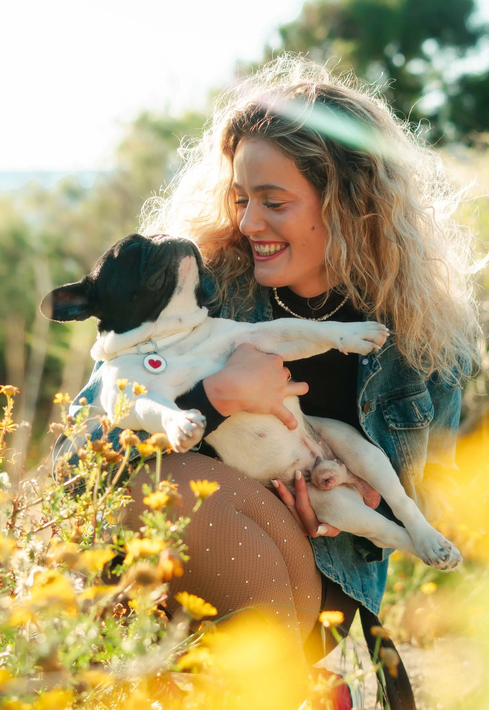 lifestyle dog photoshoot8.jpg