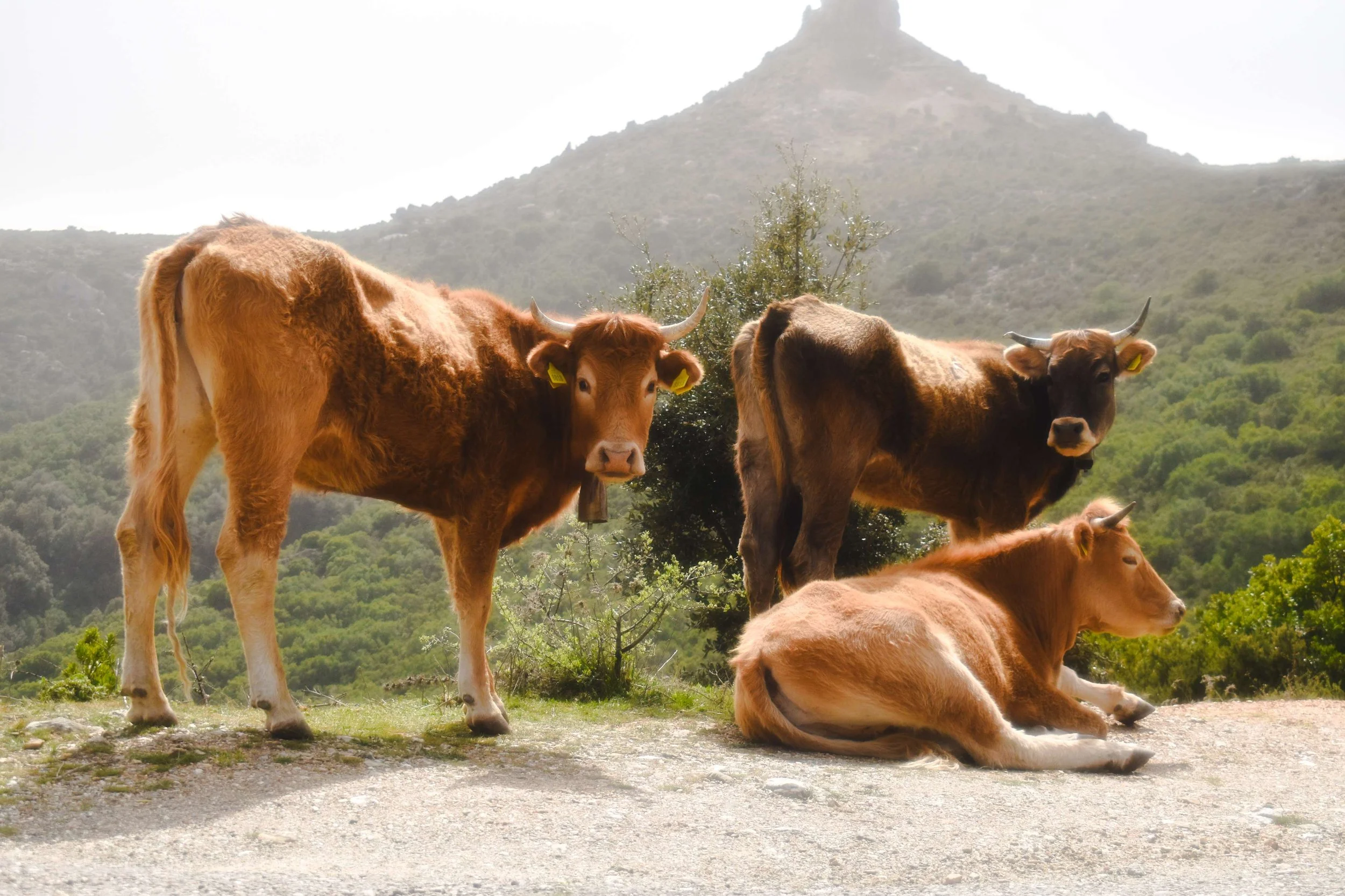 Travel Photography-Sardinia, Italy