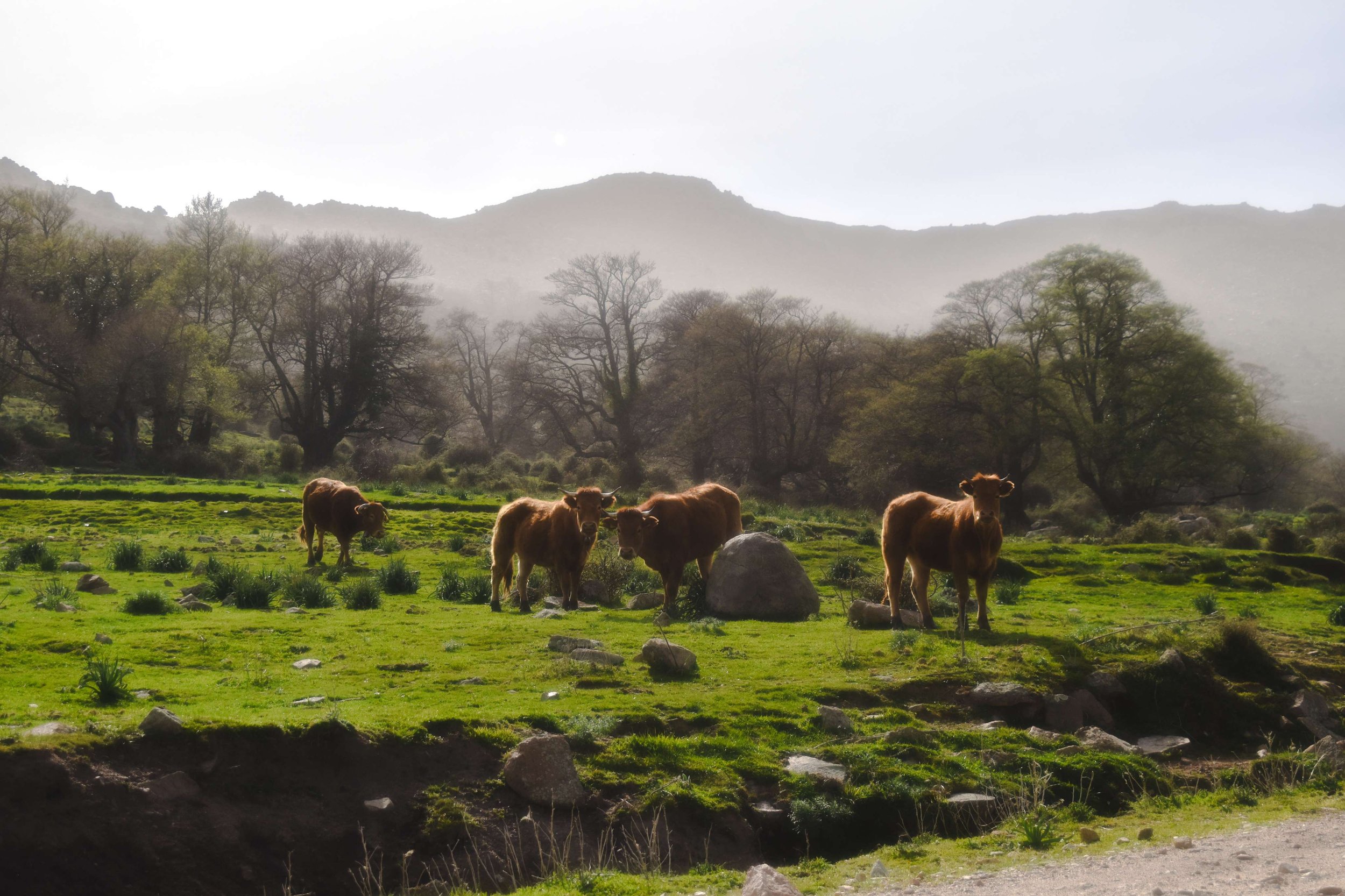 Travel Photography-Sardinia, Italy