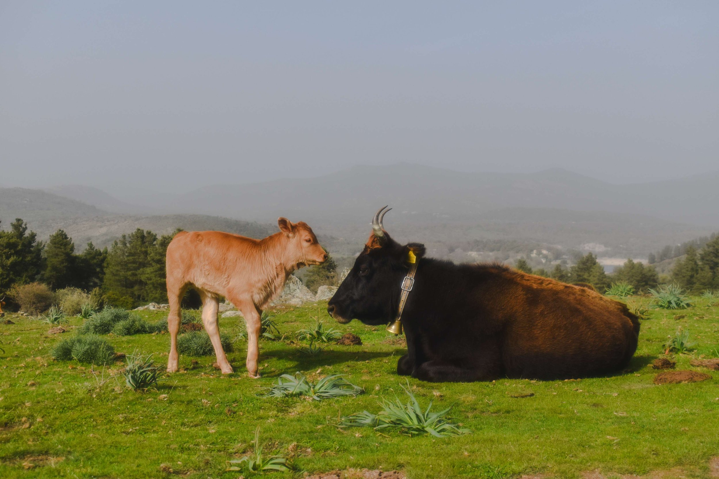 Travel Photography-Sardinia, Italy