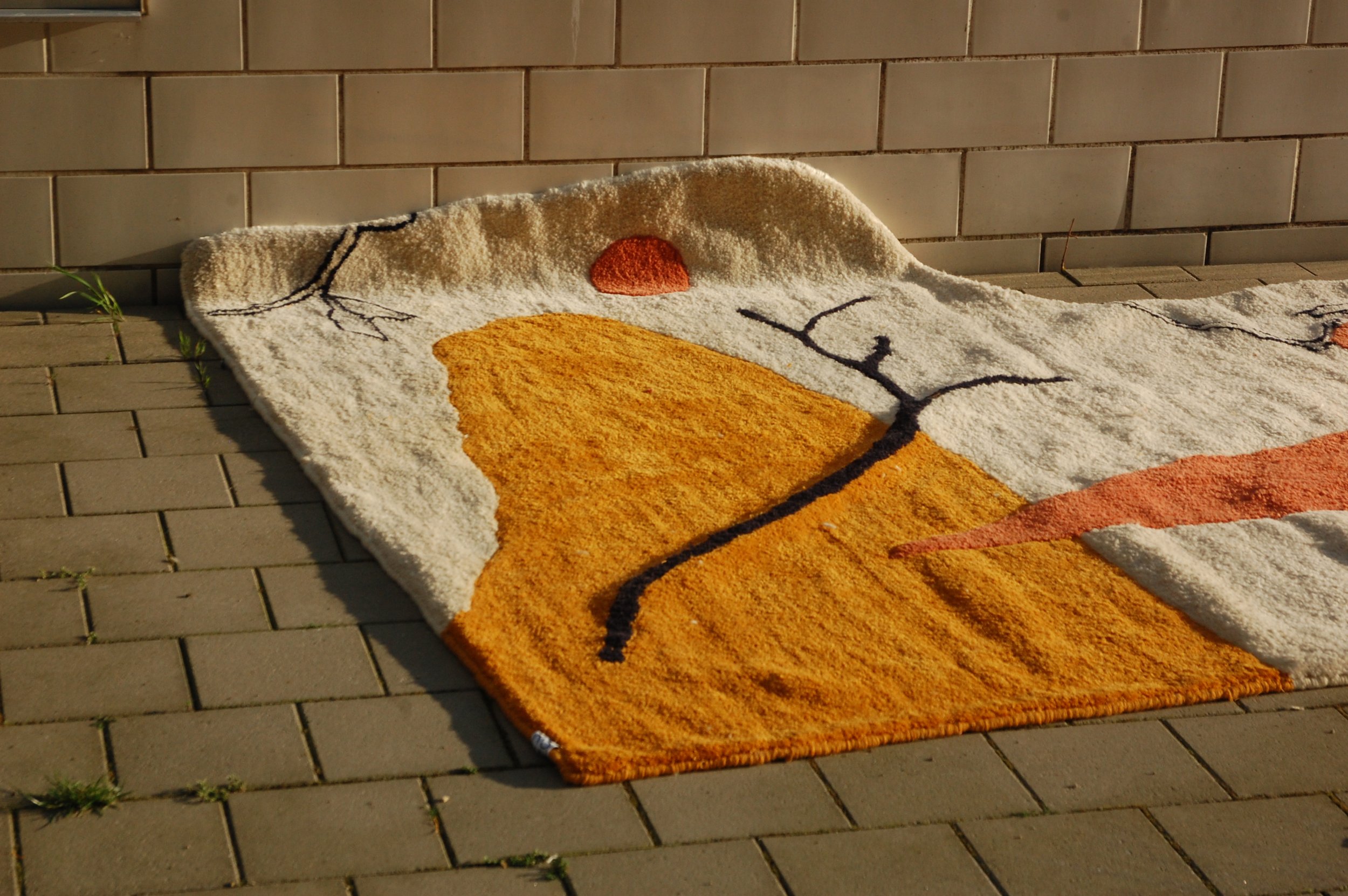 DSC_0995.jpg