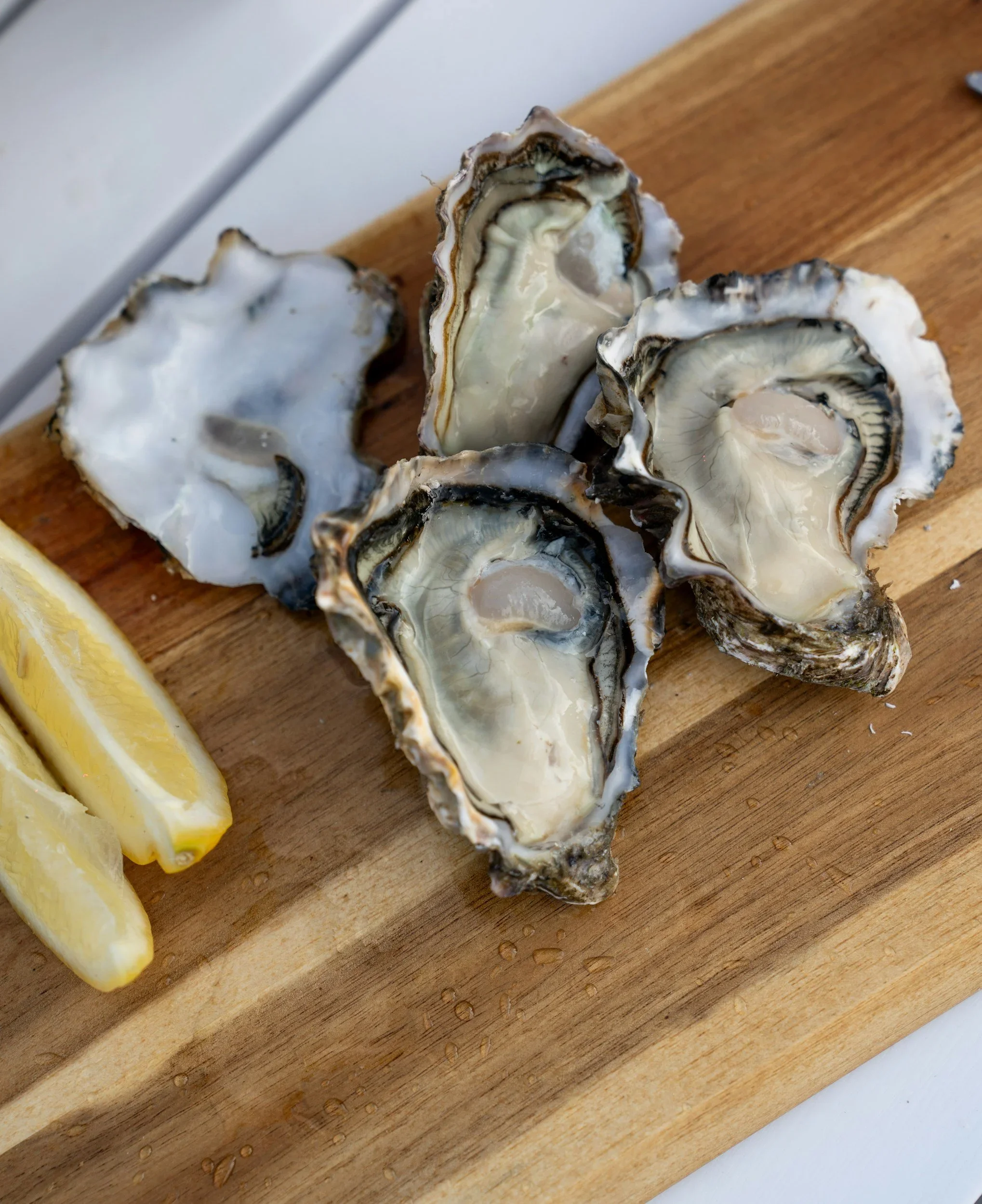 Fresh+oysters+served+with+lemon+and+sparkling+wine+during+a+private+tasting+at+Tony's+Oyster+Shack+in+Lim+Fjord_