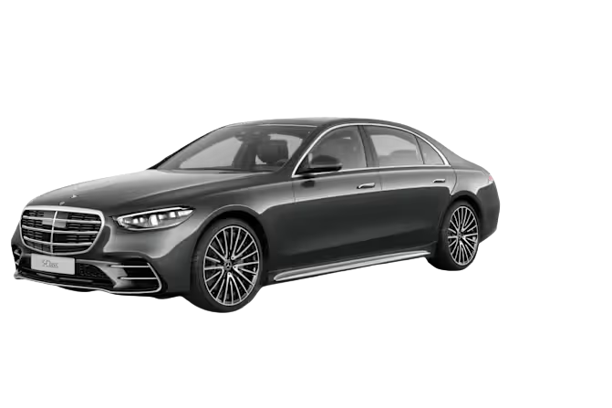 Professional chauffeur opening the door of a black Mercedes S-Class for a VIP guest in Istria.