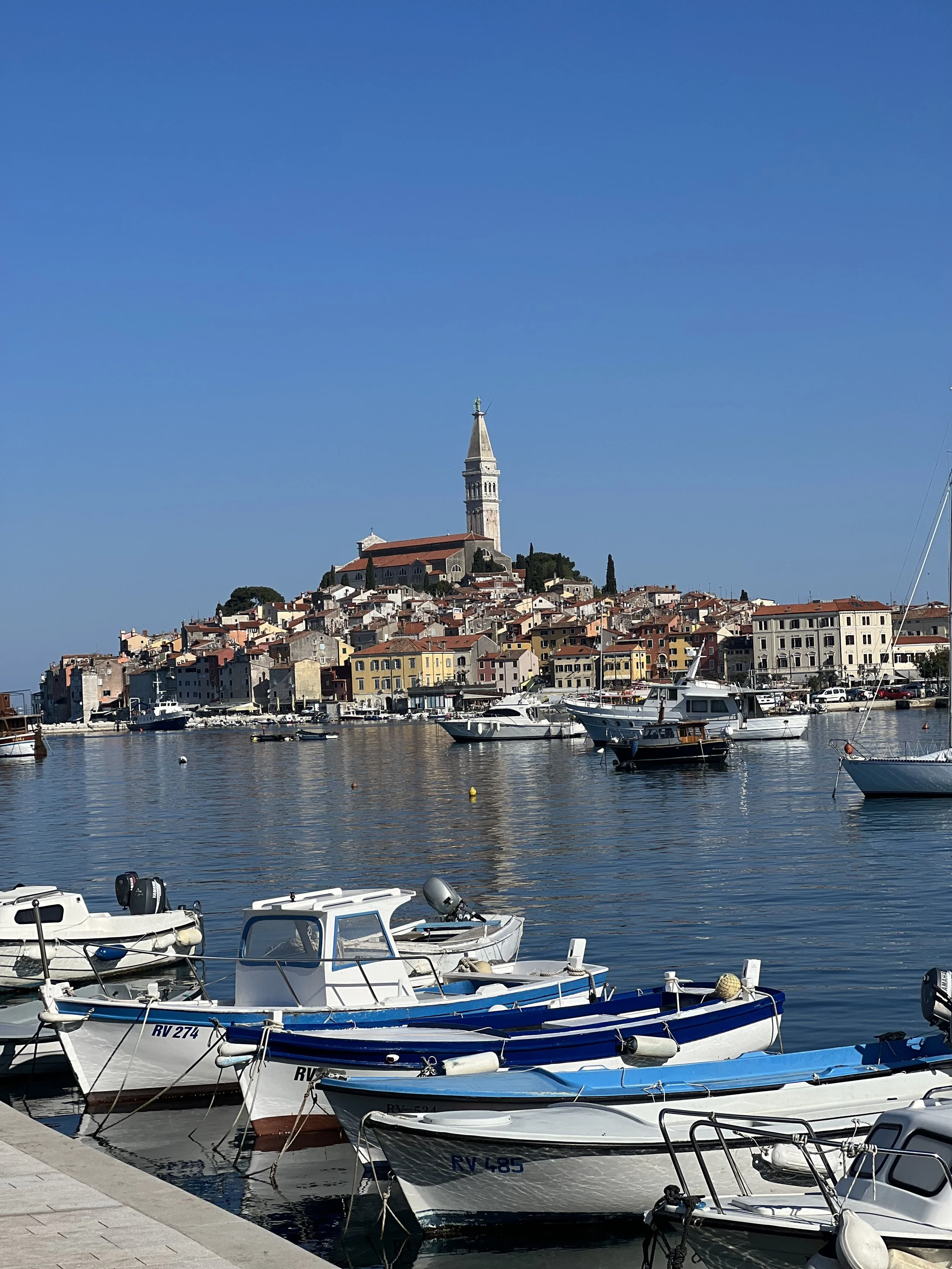 Private boat tour along Istria’s coastline with view of Rovinj – Stramare experience