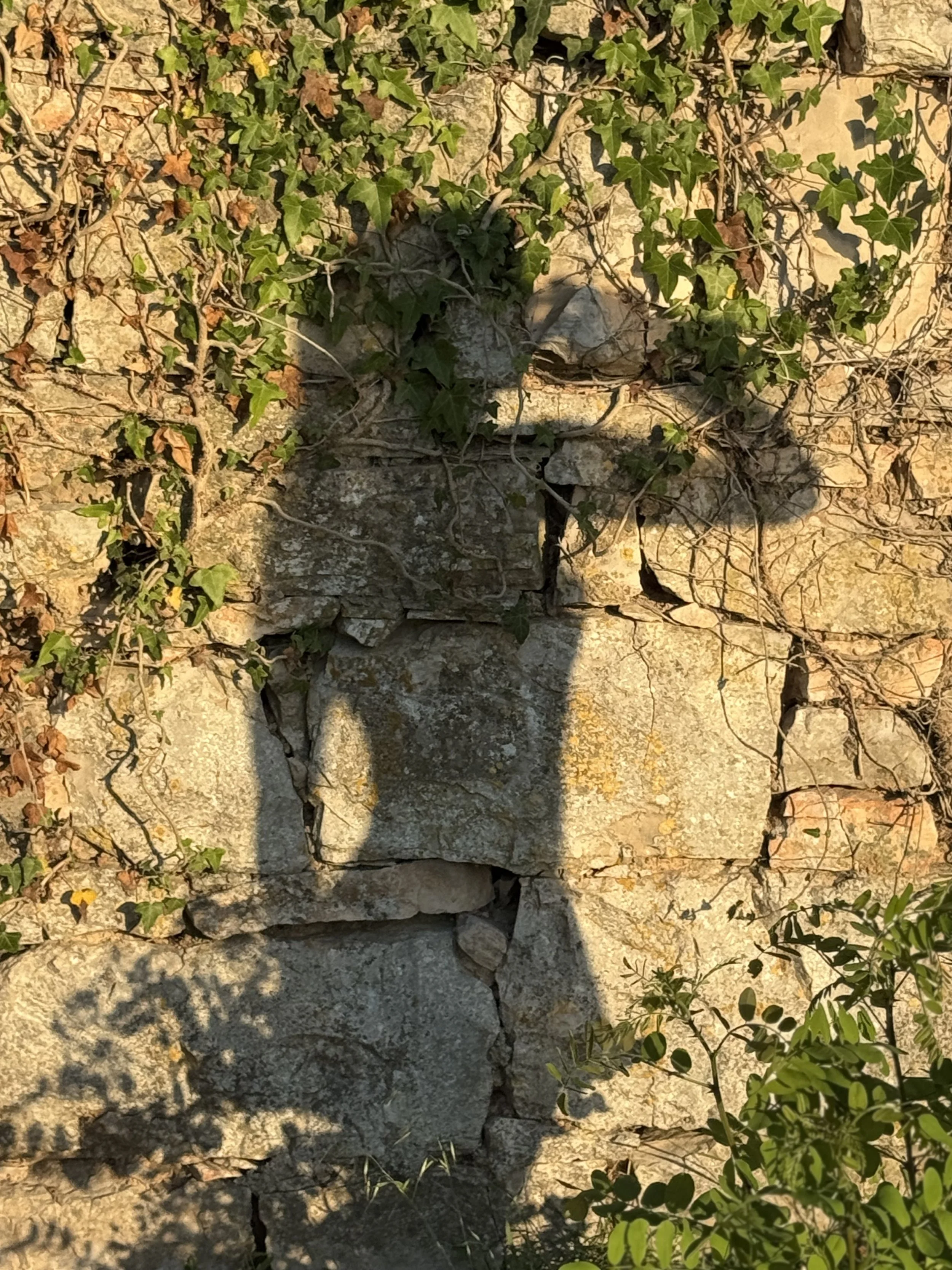 Silhouette of a guest enjoying personalized Istramore water, embodying luxury and bespoke hospitality in Istria