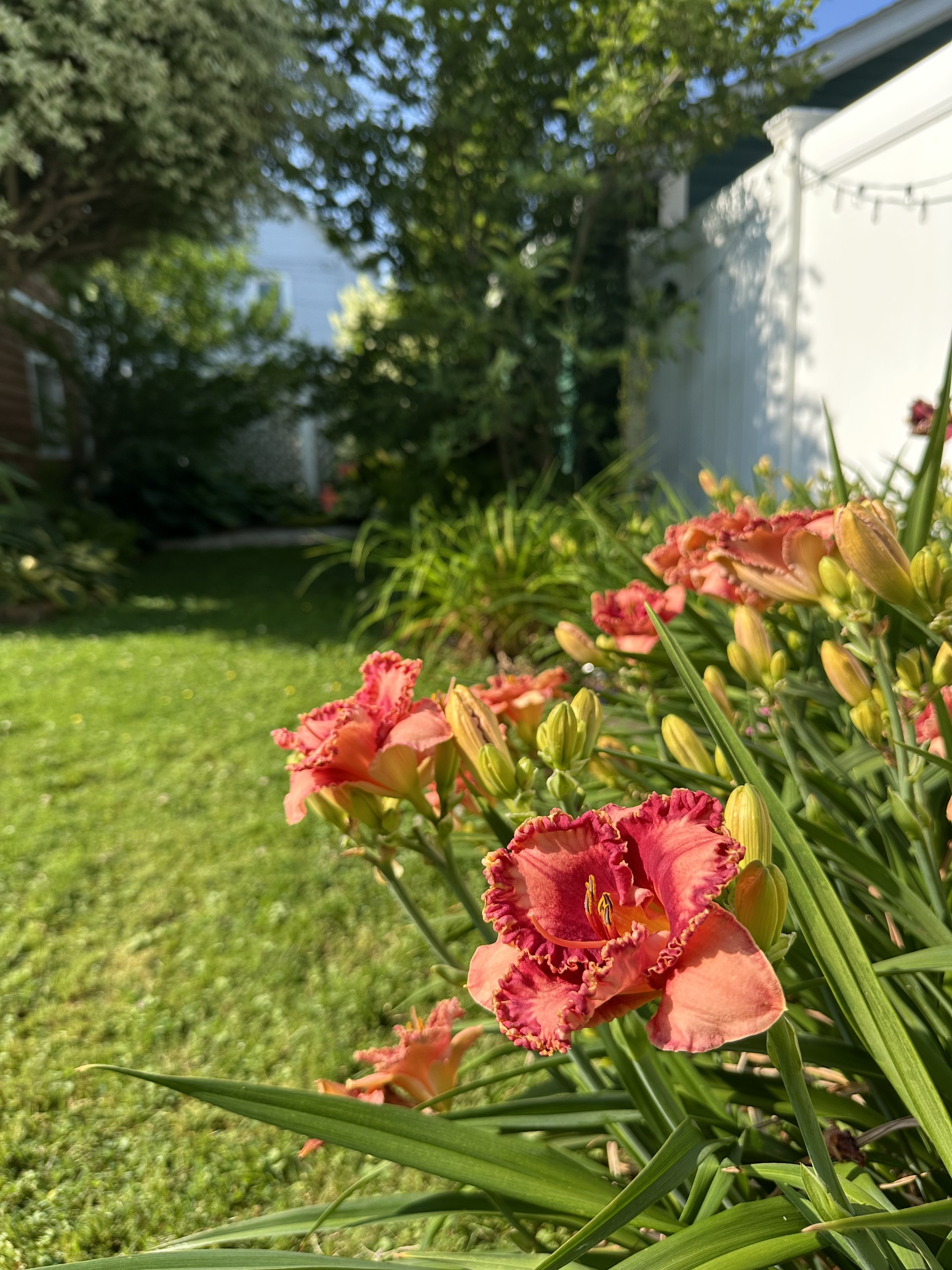 IMG_4737.jpeg
